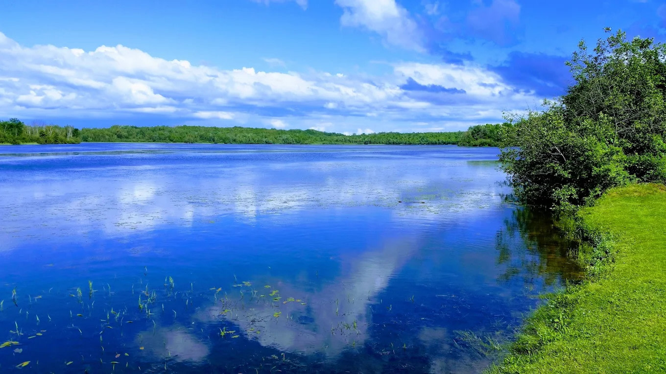 Blue Haven Campground and Resort
