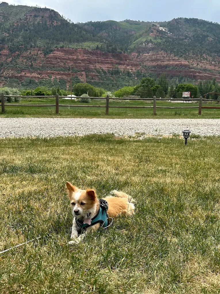 Alpen Rose RV Park