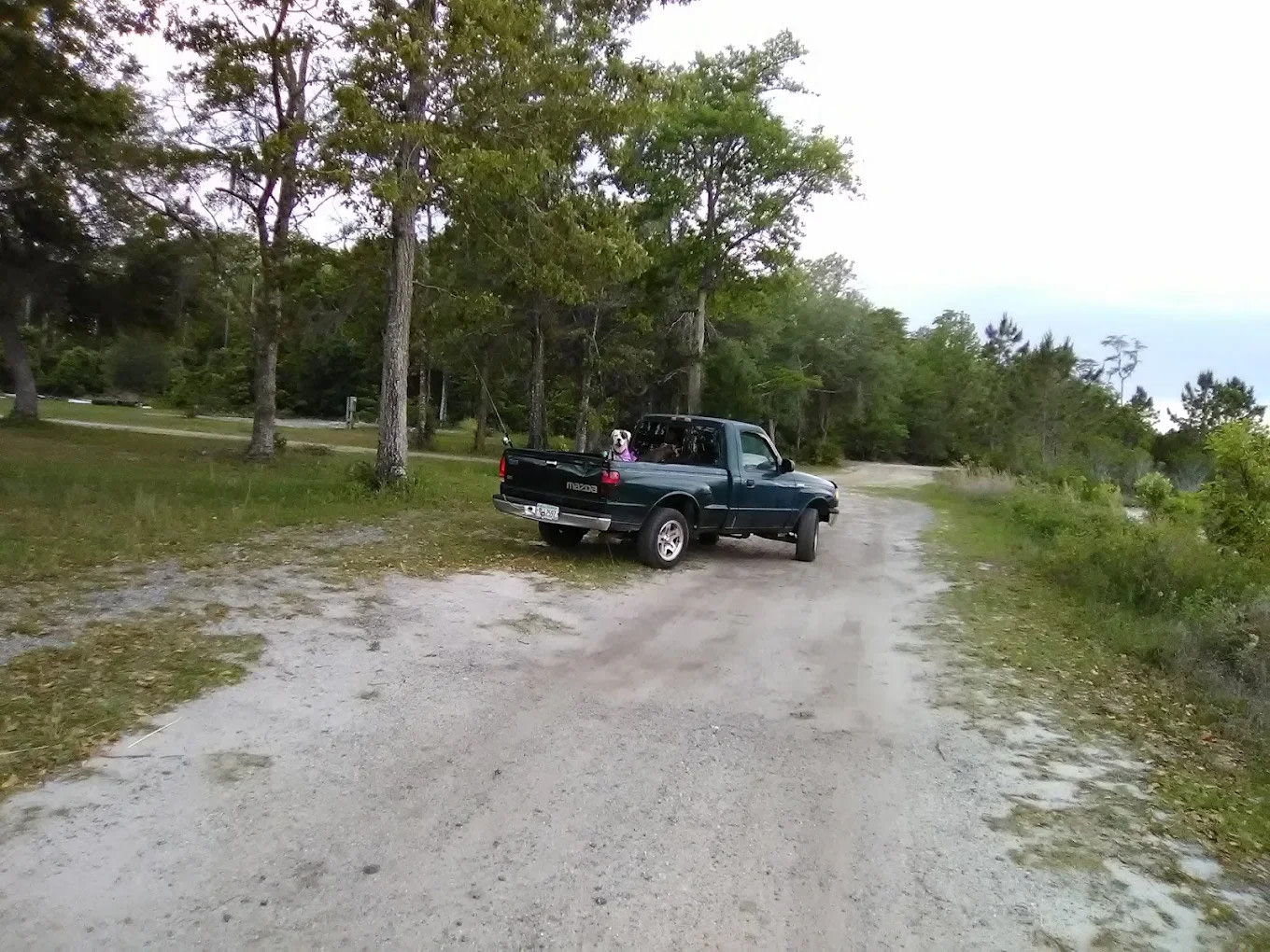 Horne Lake RV Resort