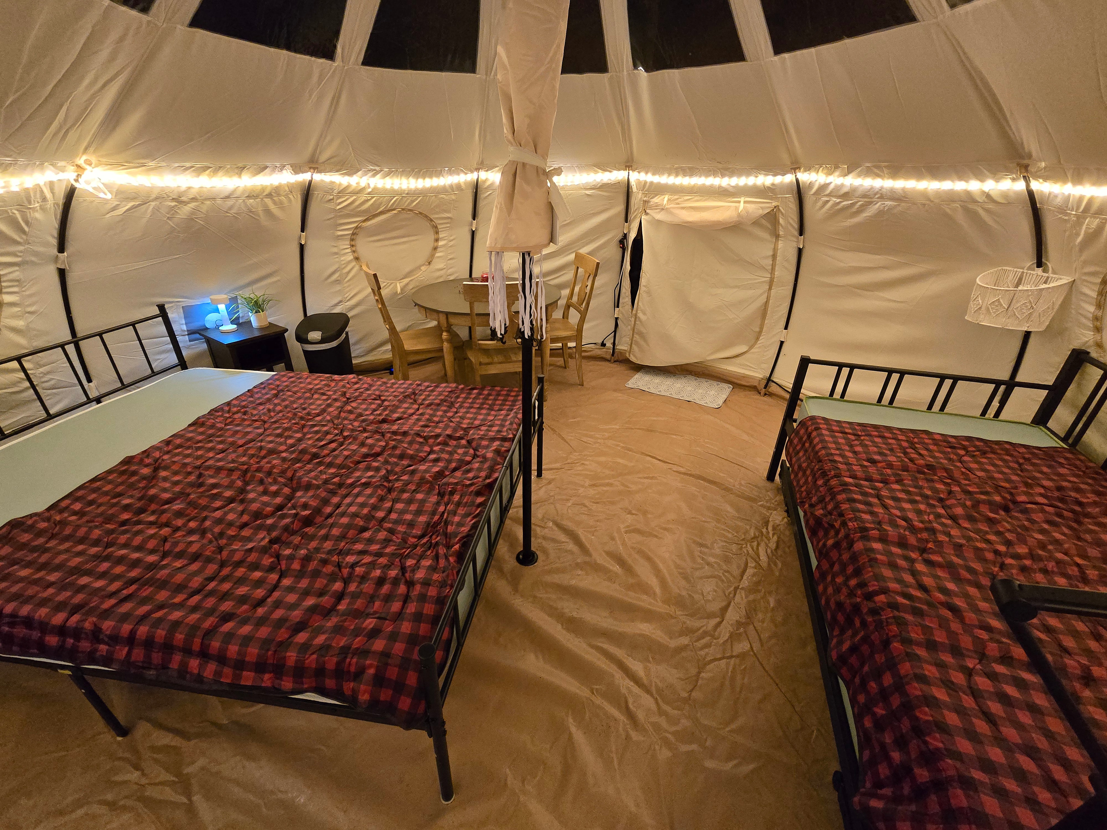 The Firefly Nest