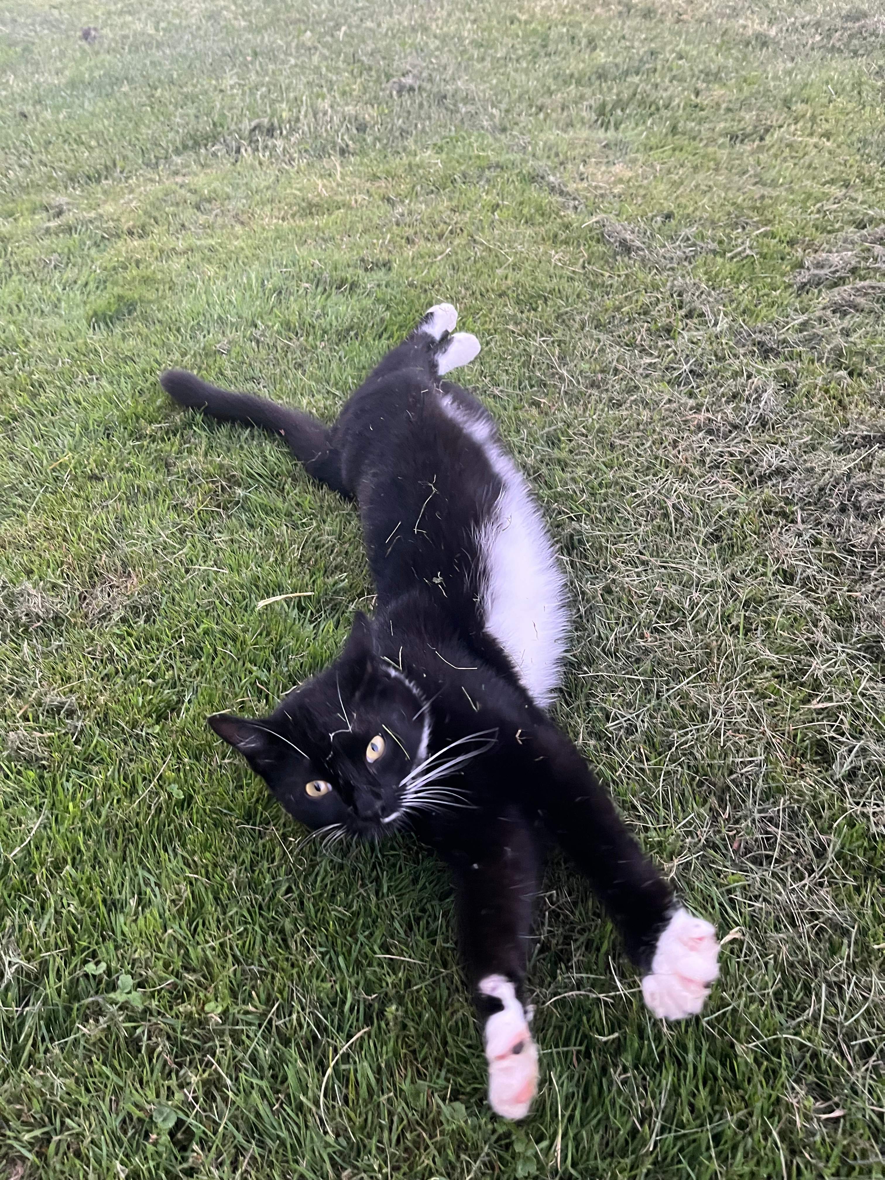 Blue Ledge Farm Cottage