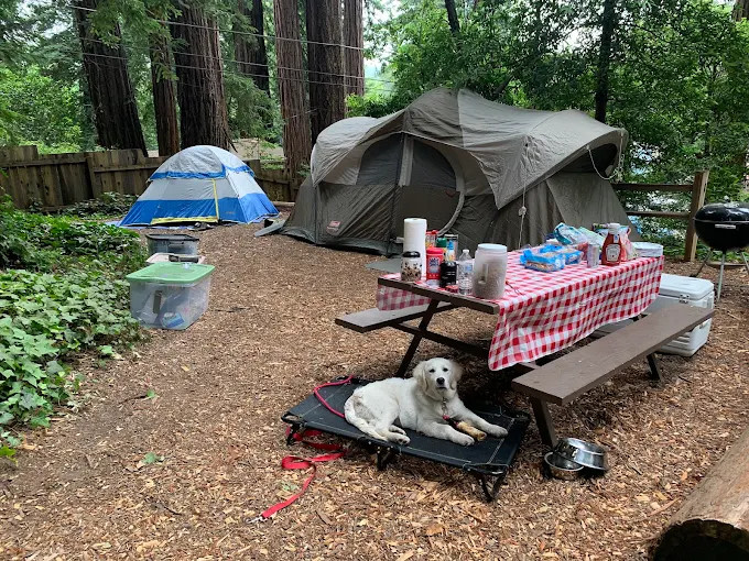 Santa Cruz Redwoods RV Resort