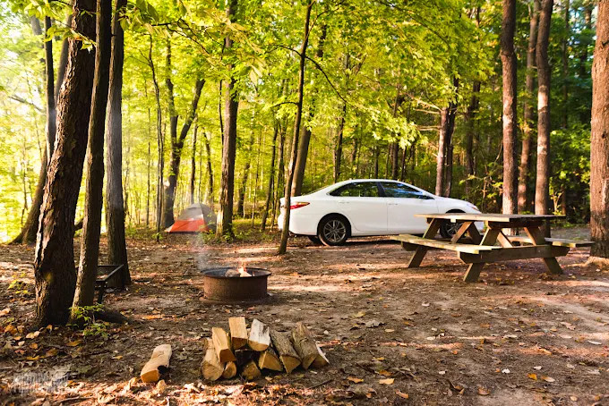 Back-Achers Campsite