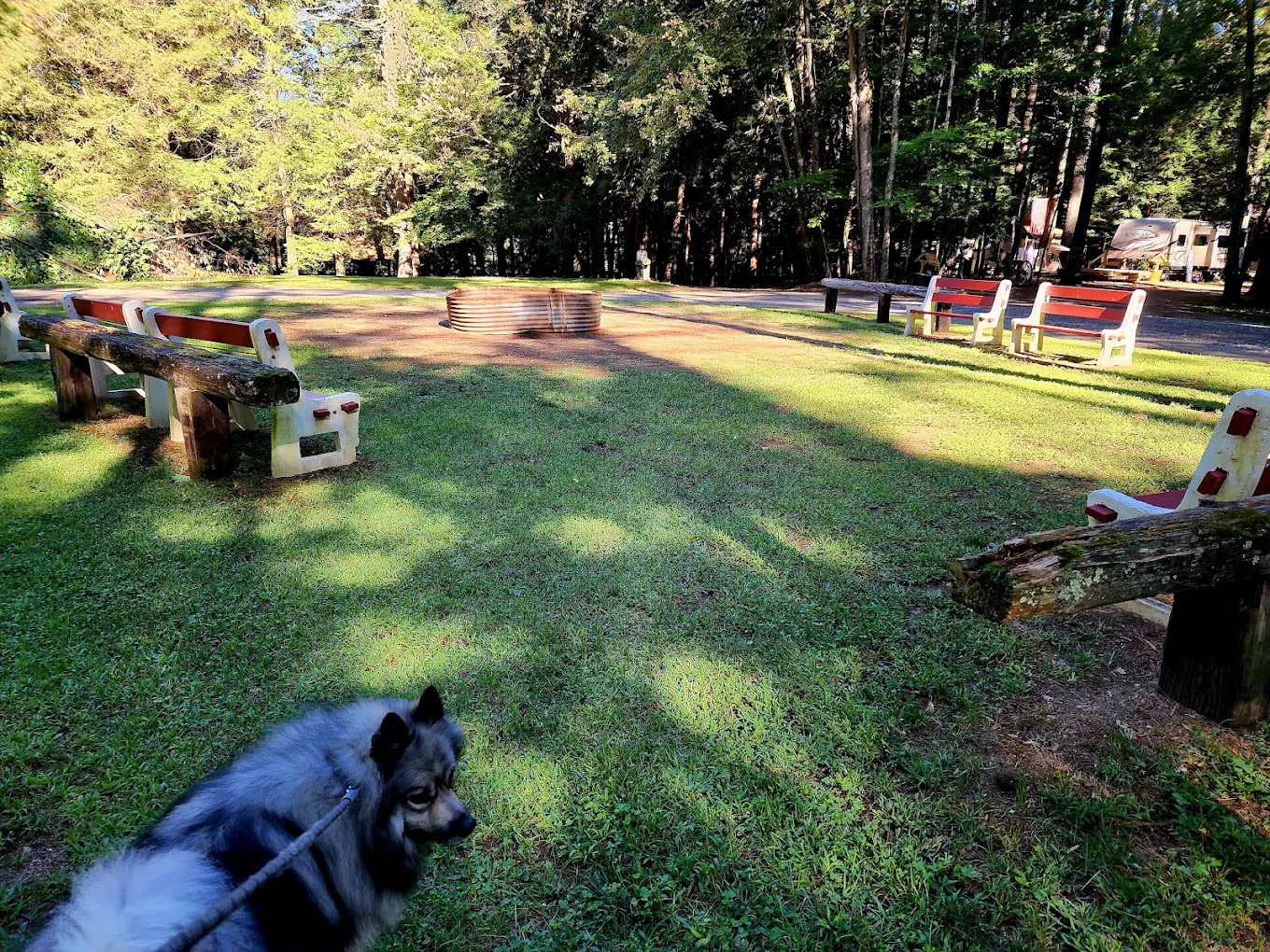 Crown Point Camping Area