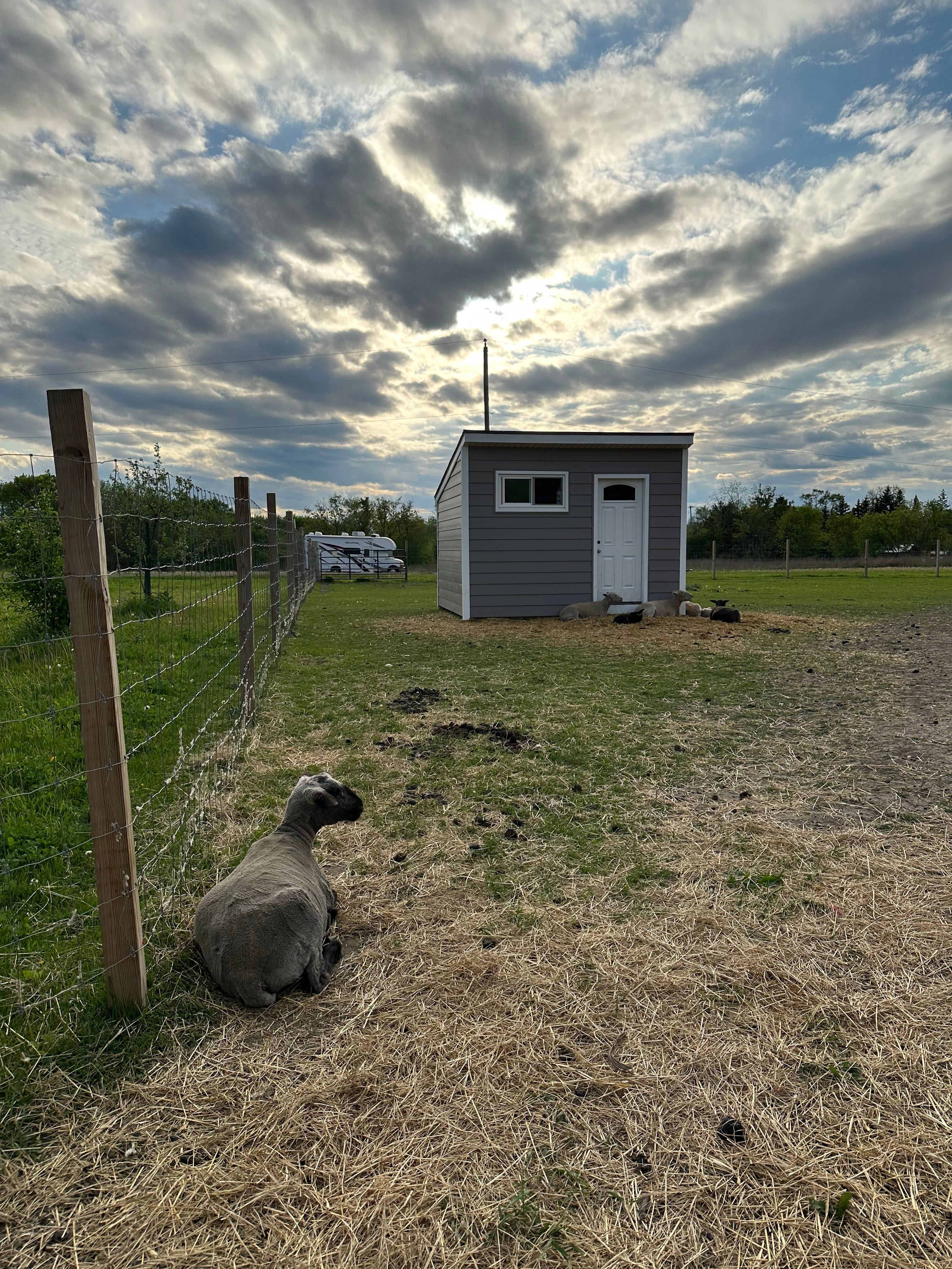 Mayville Farm