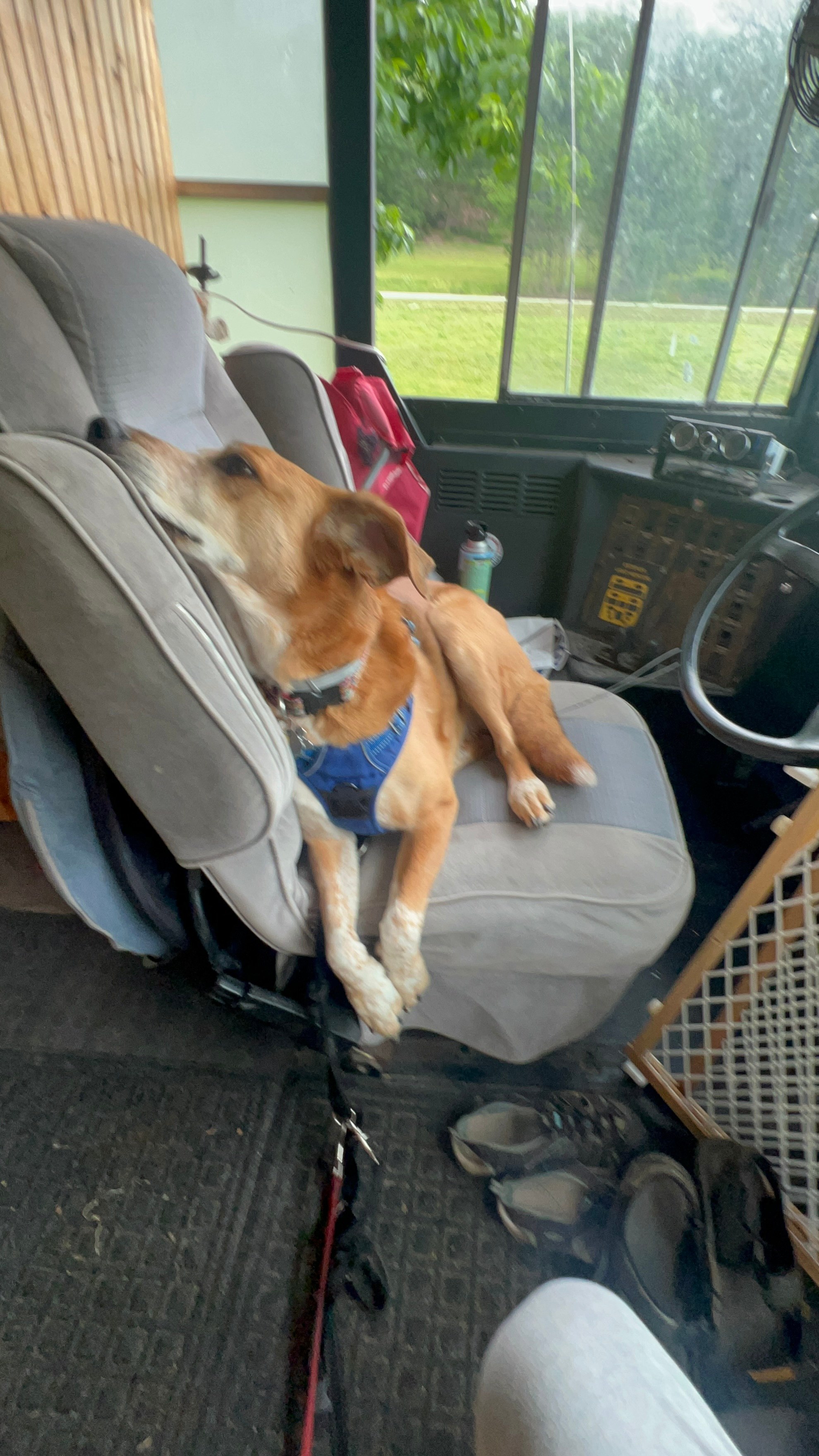 Driving (not really!) the bus!