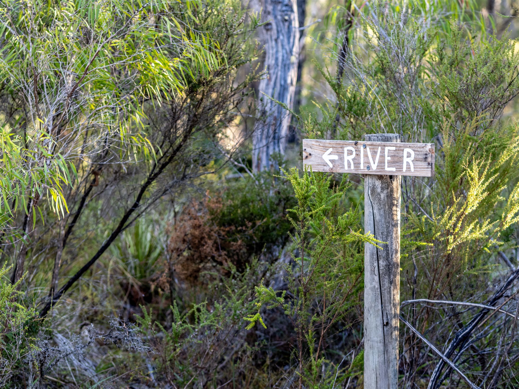Dunmore Homestead Farmstay