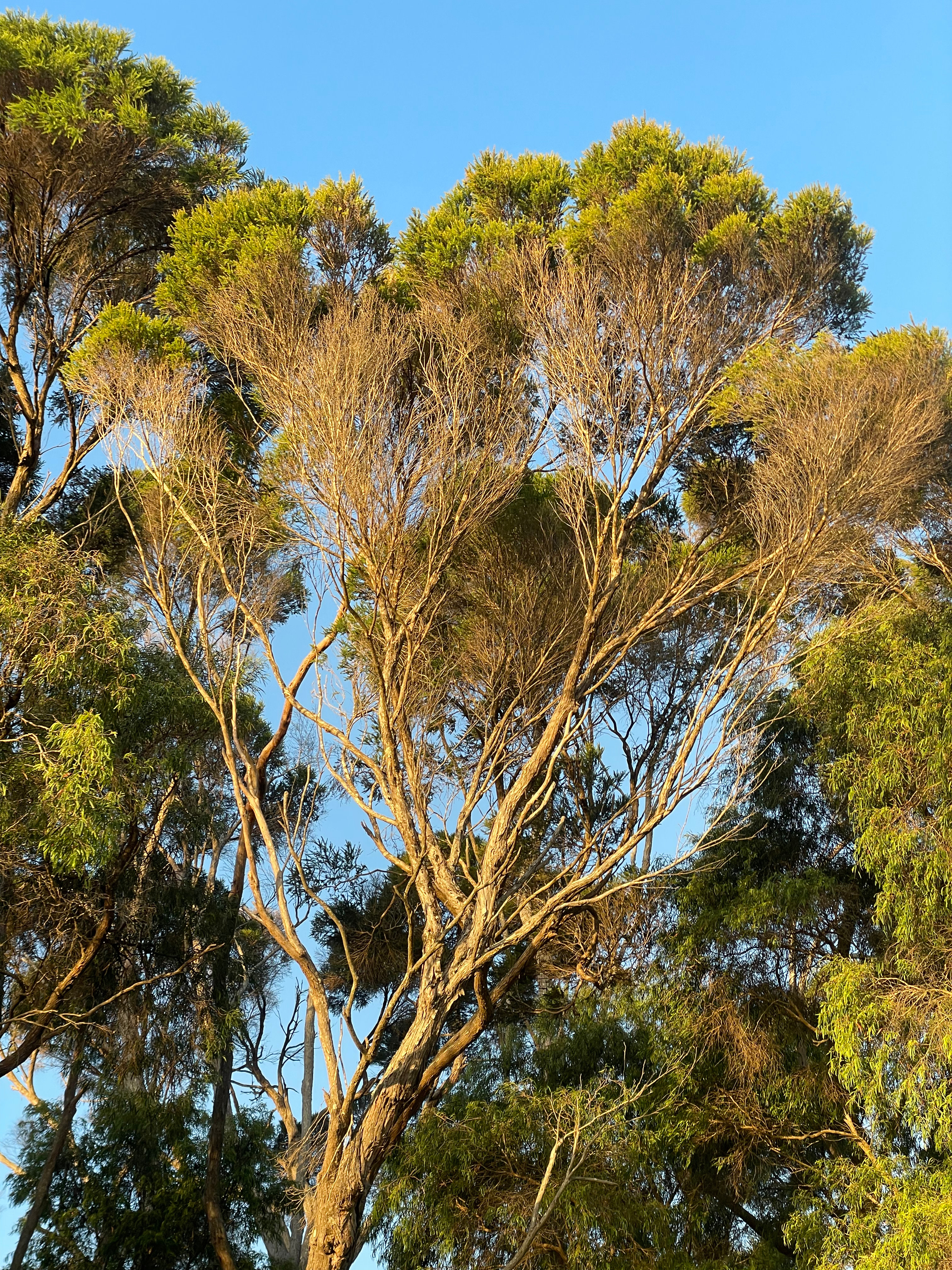 Dunmore Homestead Farmstay