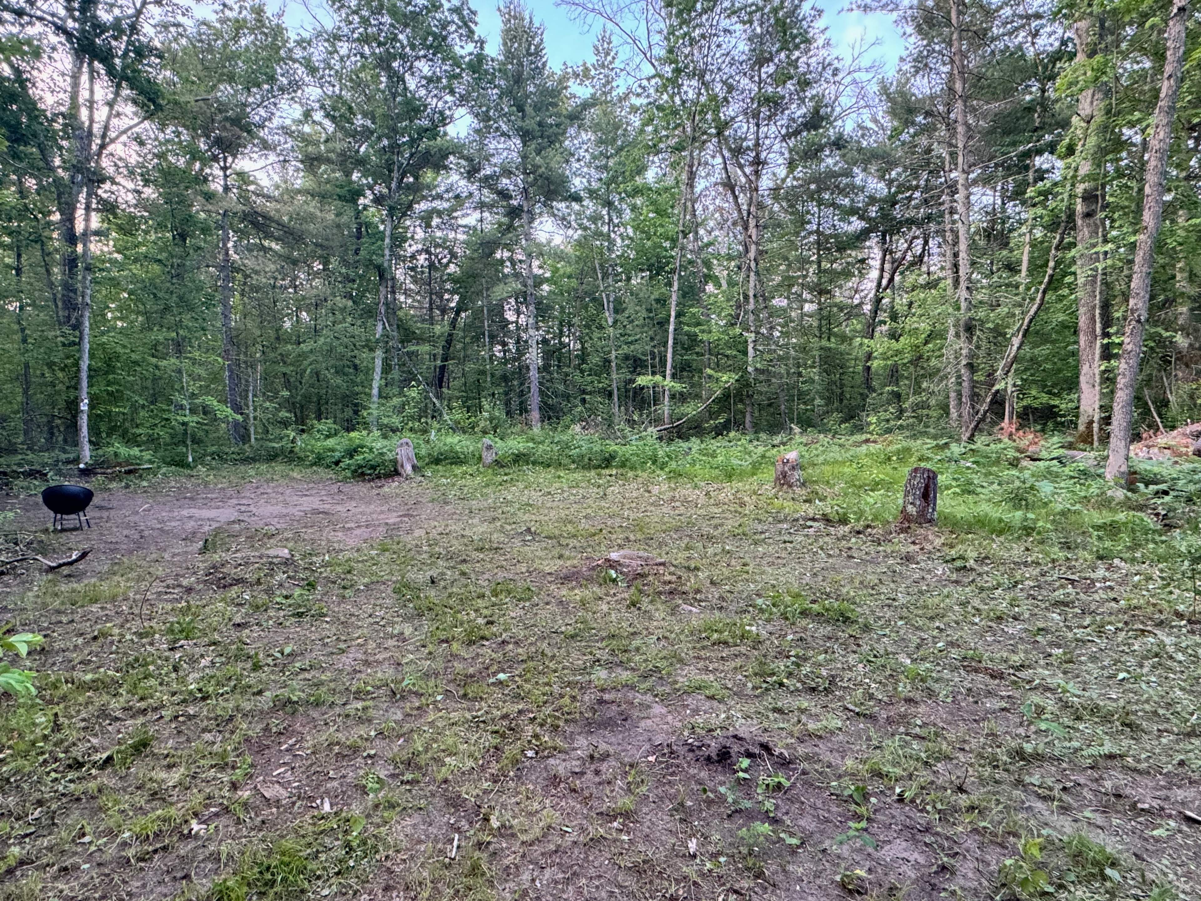 Idlewild Honeycomb Hideaway