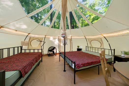 The Firefly Nest