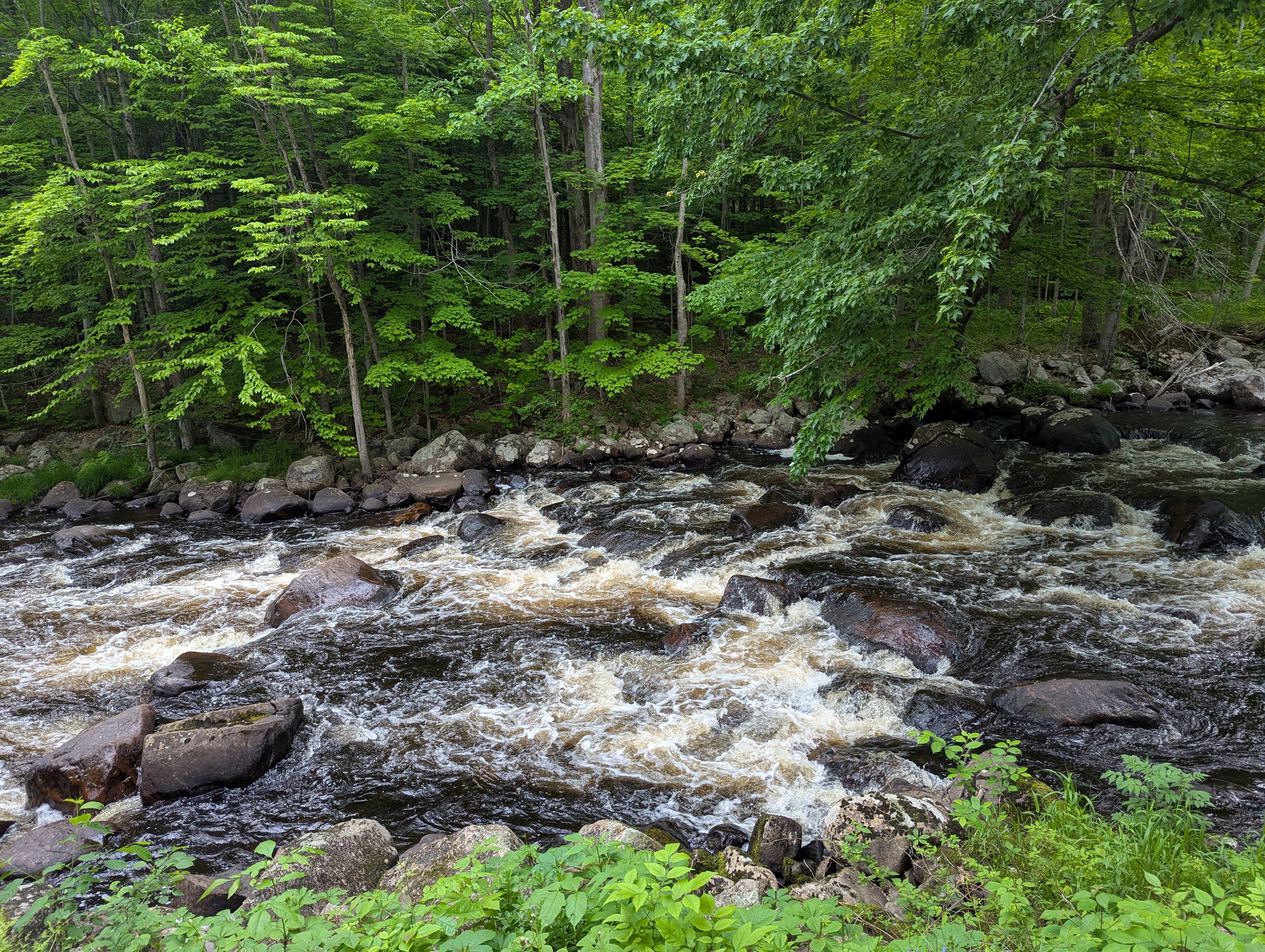 Deer River Camp