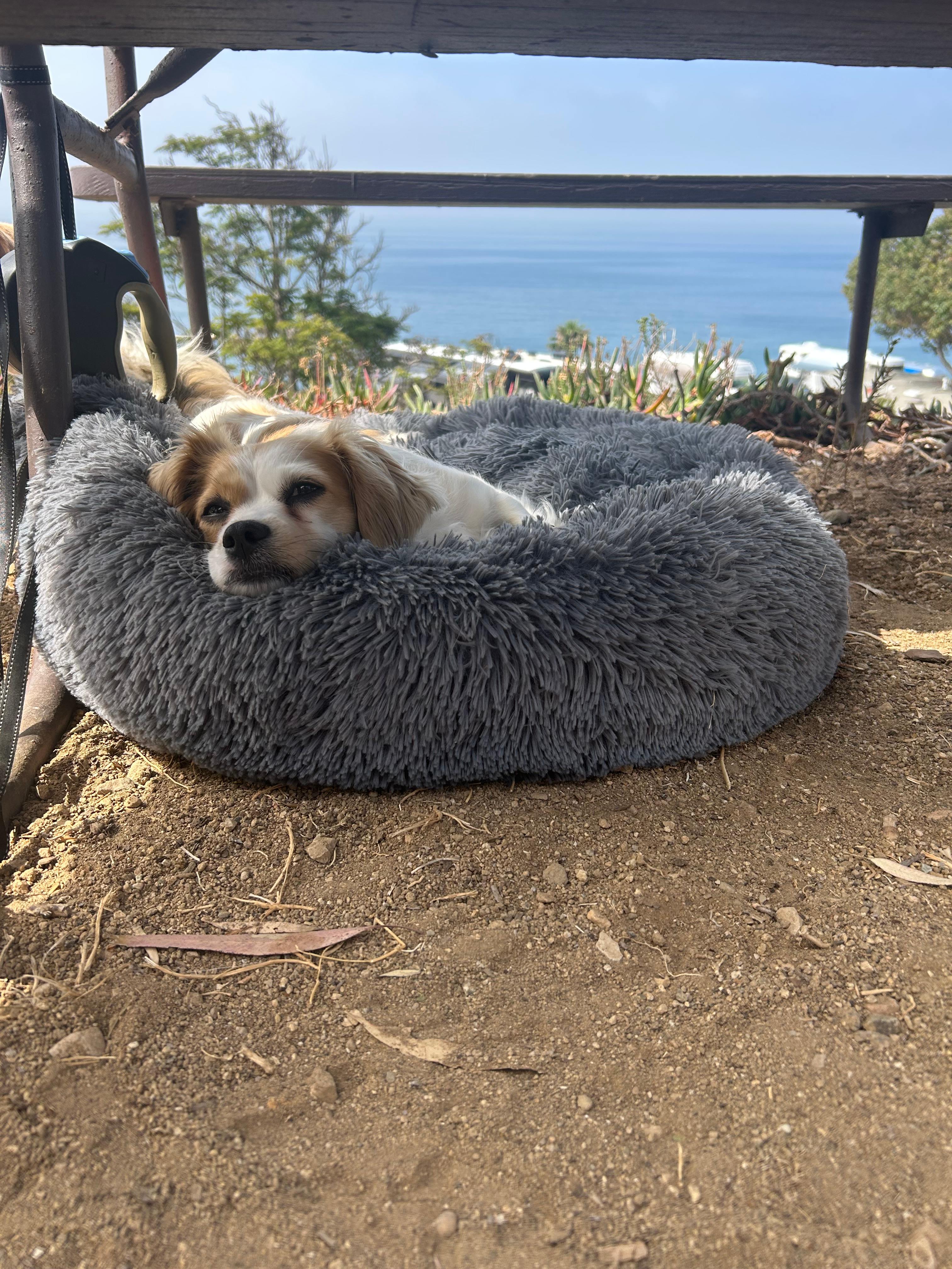 Malibu RV Park