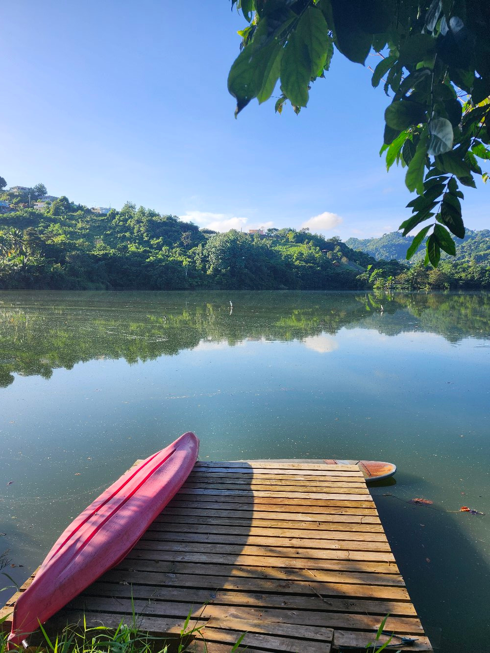 Terruño Azulverdoso