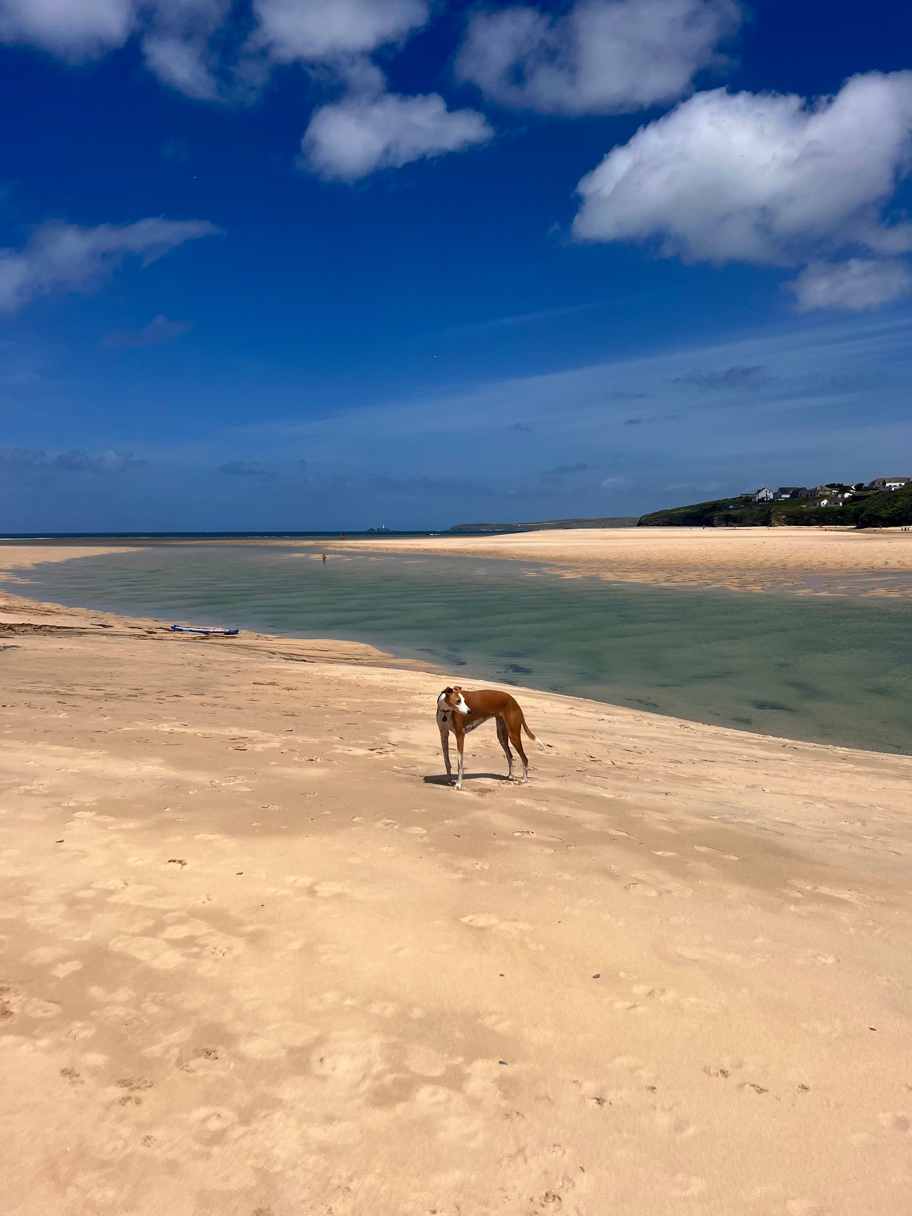 Porth kidney estuary 
