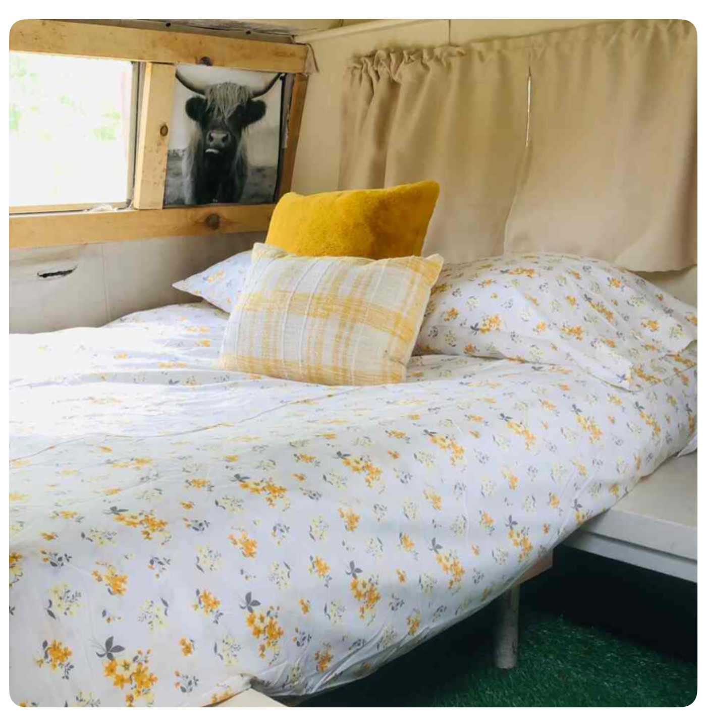 Stars and Sage Farm Shasta