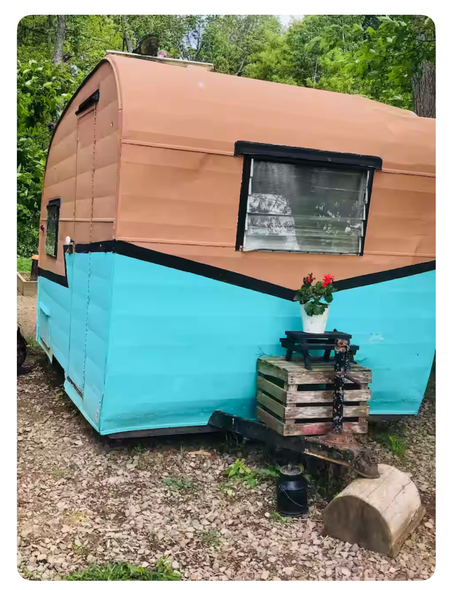 Stars and Sage Farm Shasta