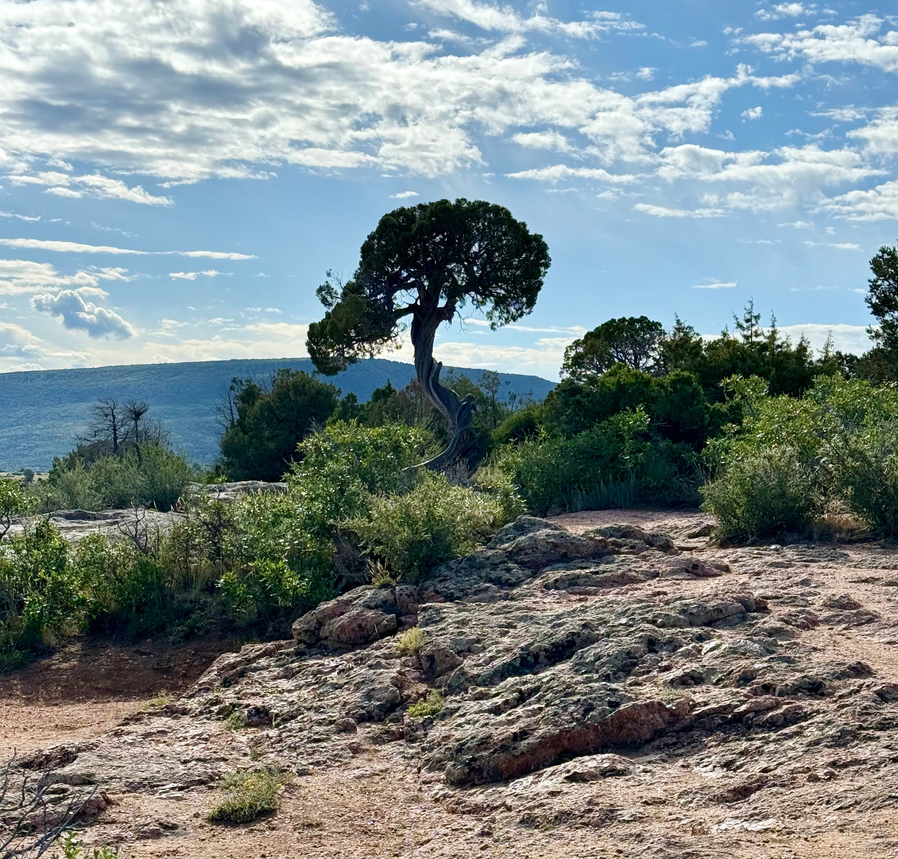 Black Canyon Of The Gunnison National Park