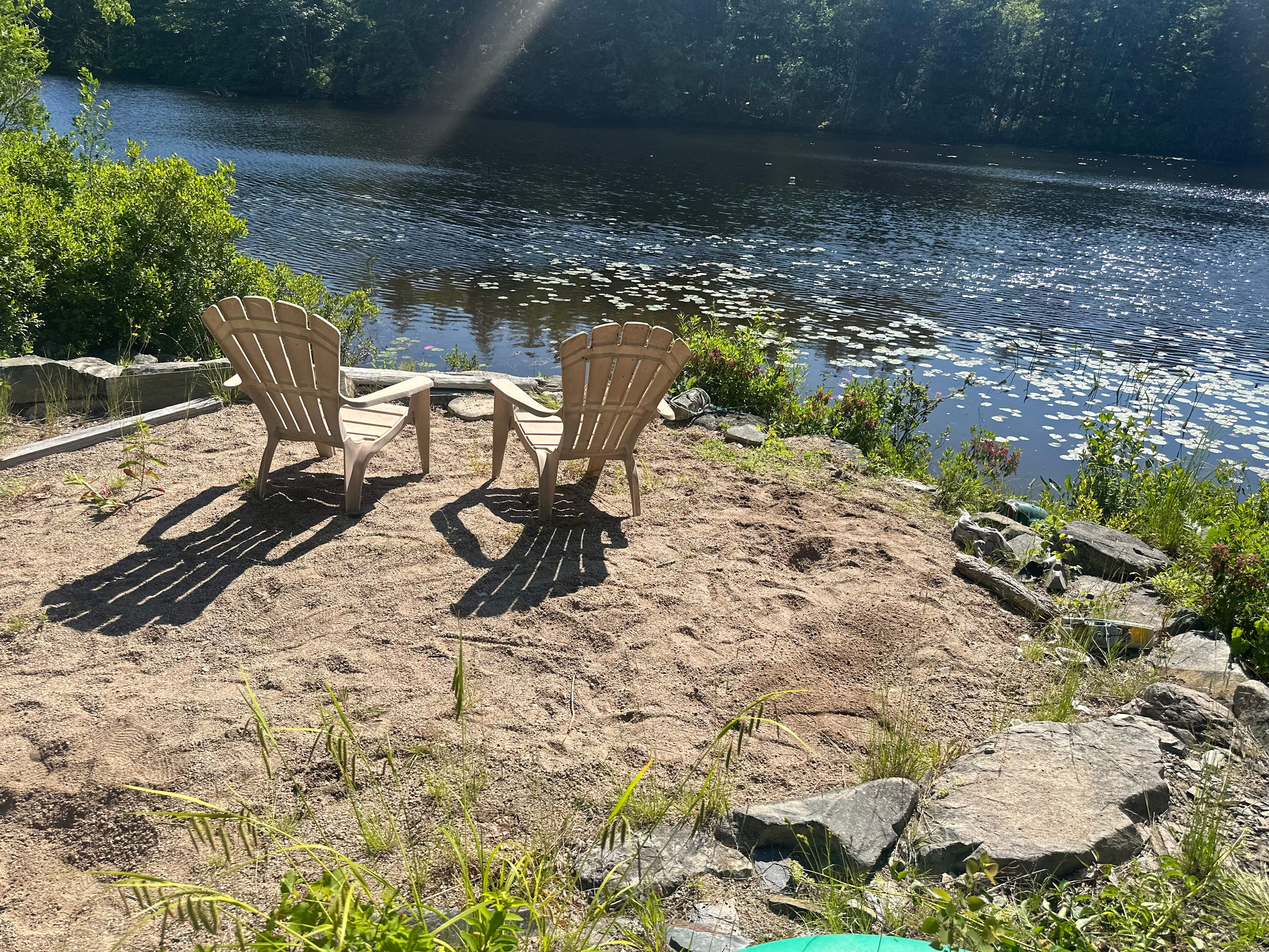 Dragonfly Lake Serenity