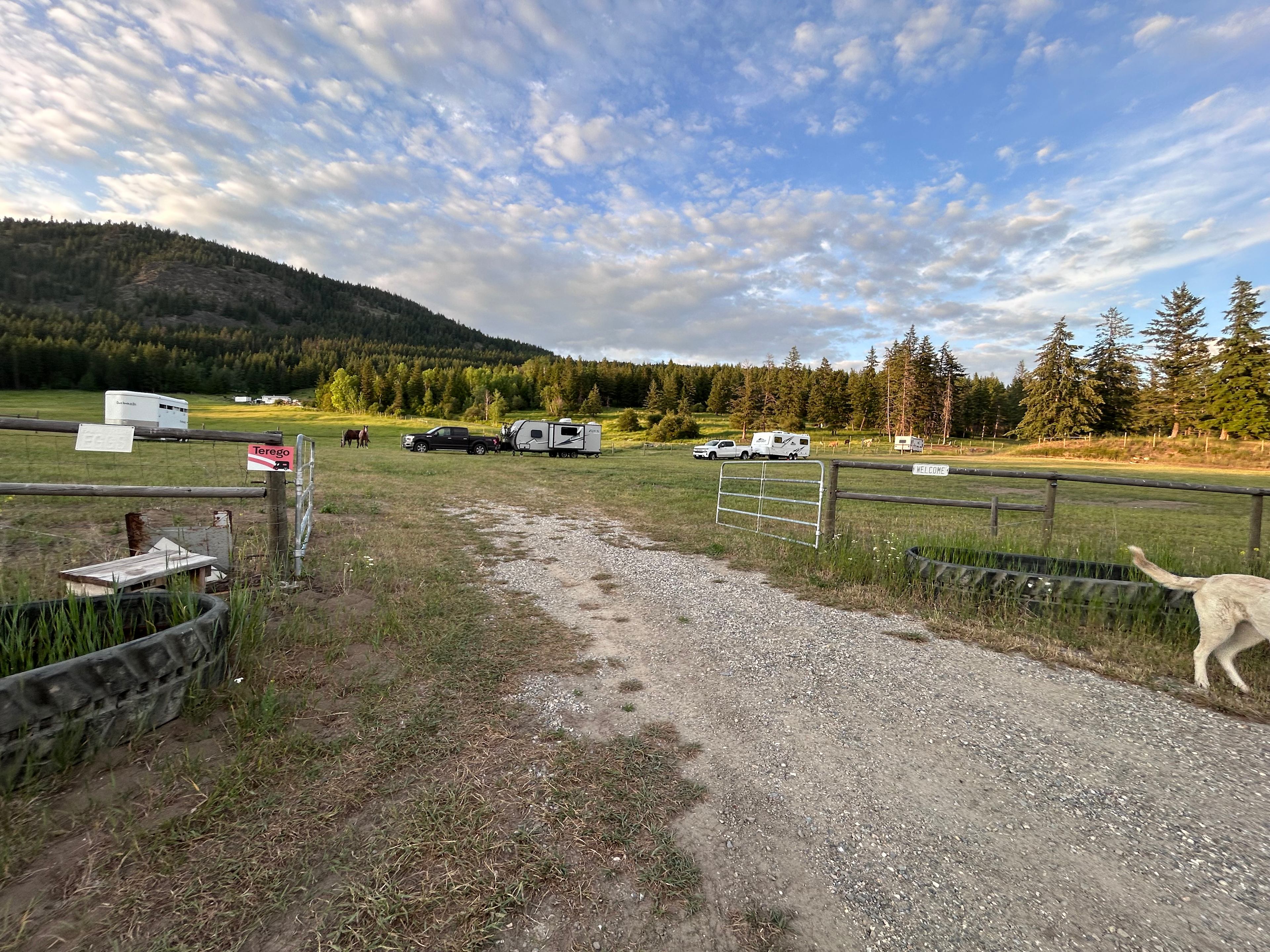 Farm camping