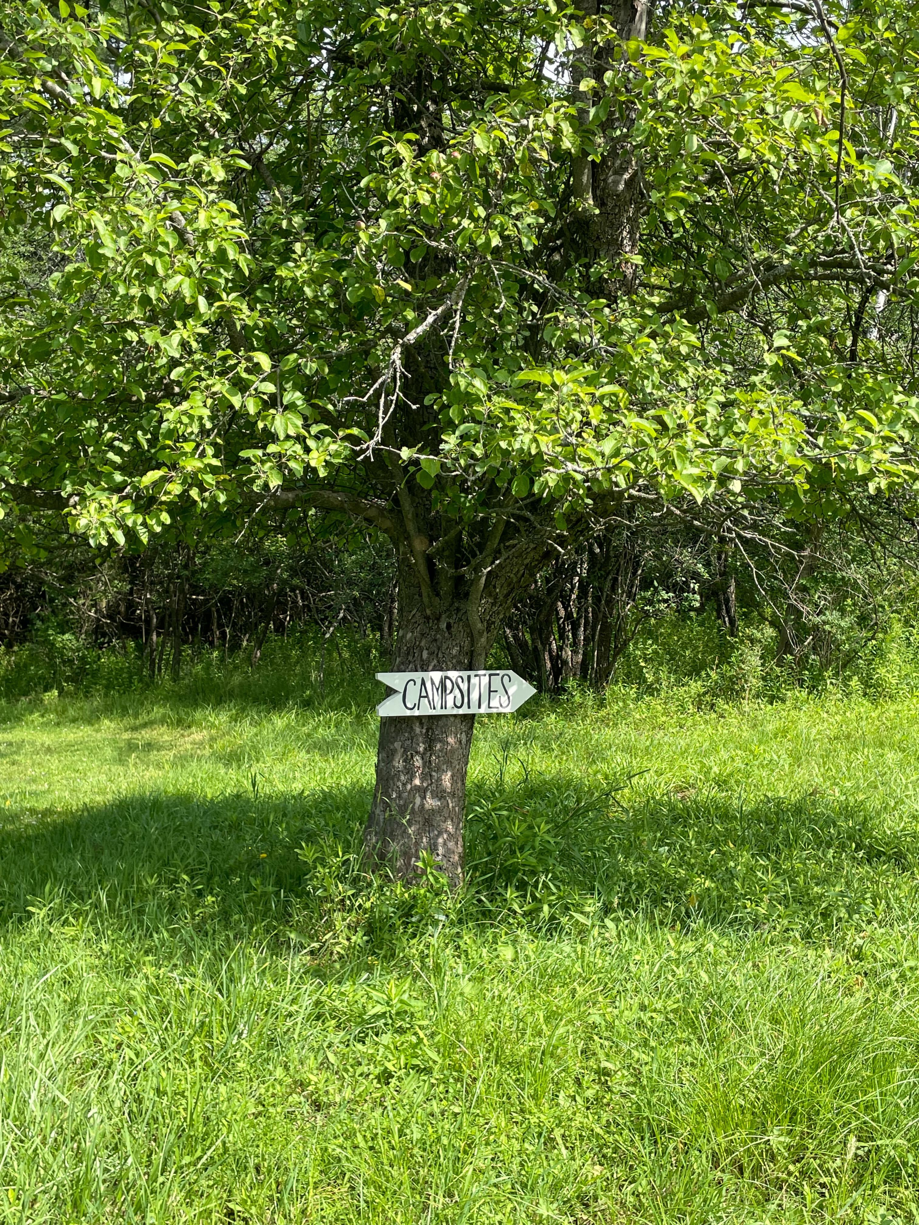 Rustic Vegan Camping Farm Sanctuary