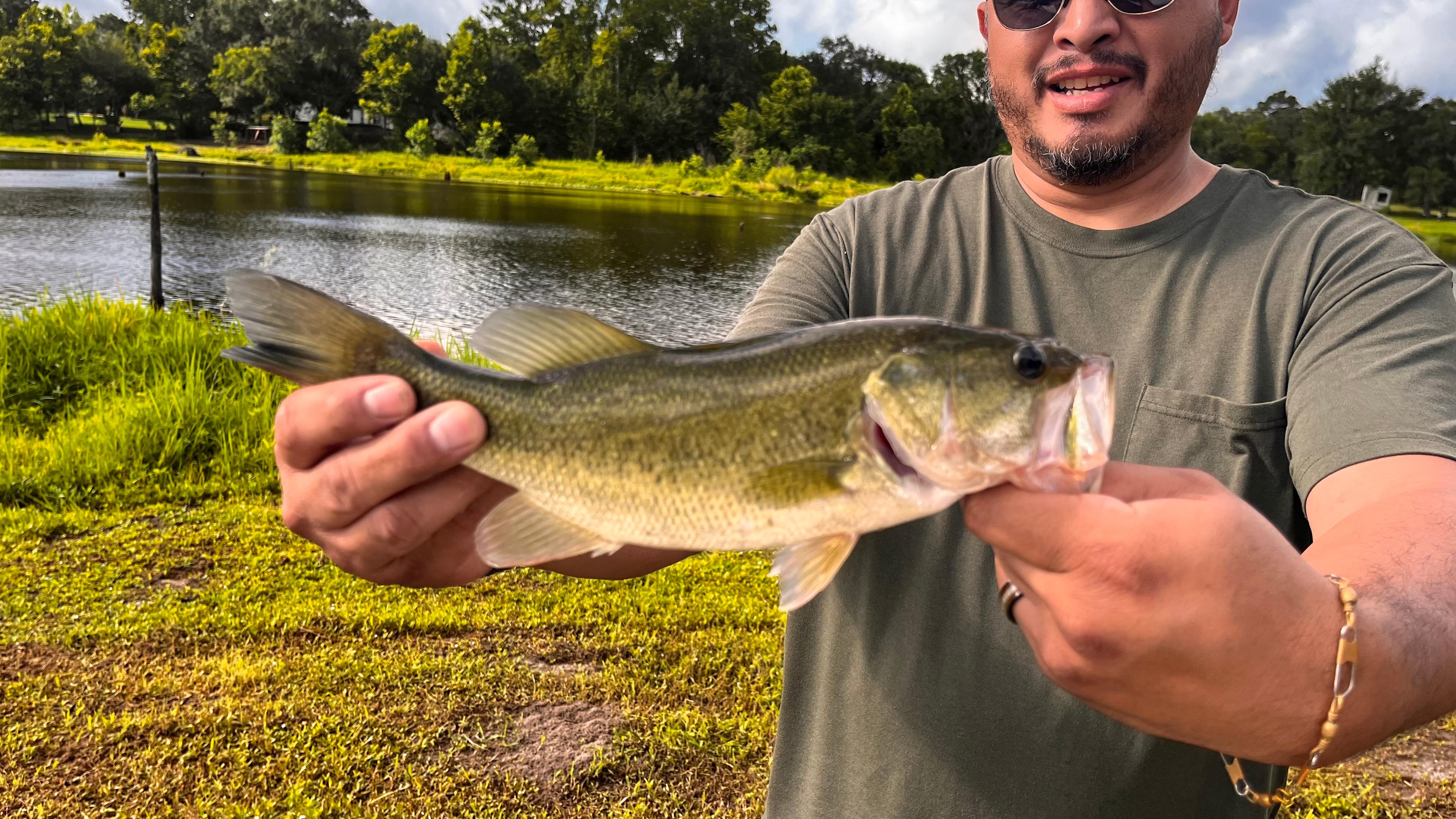 Handsome caught and released bass!