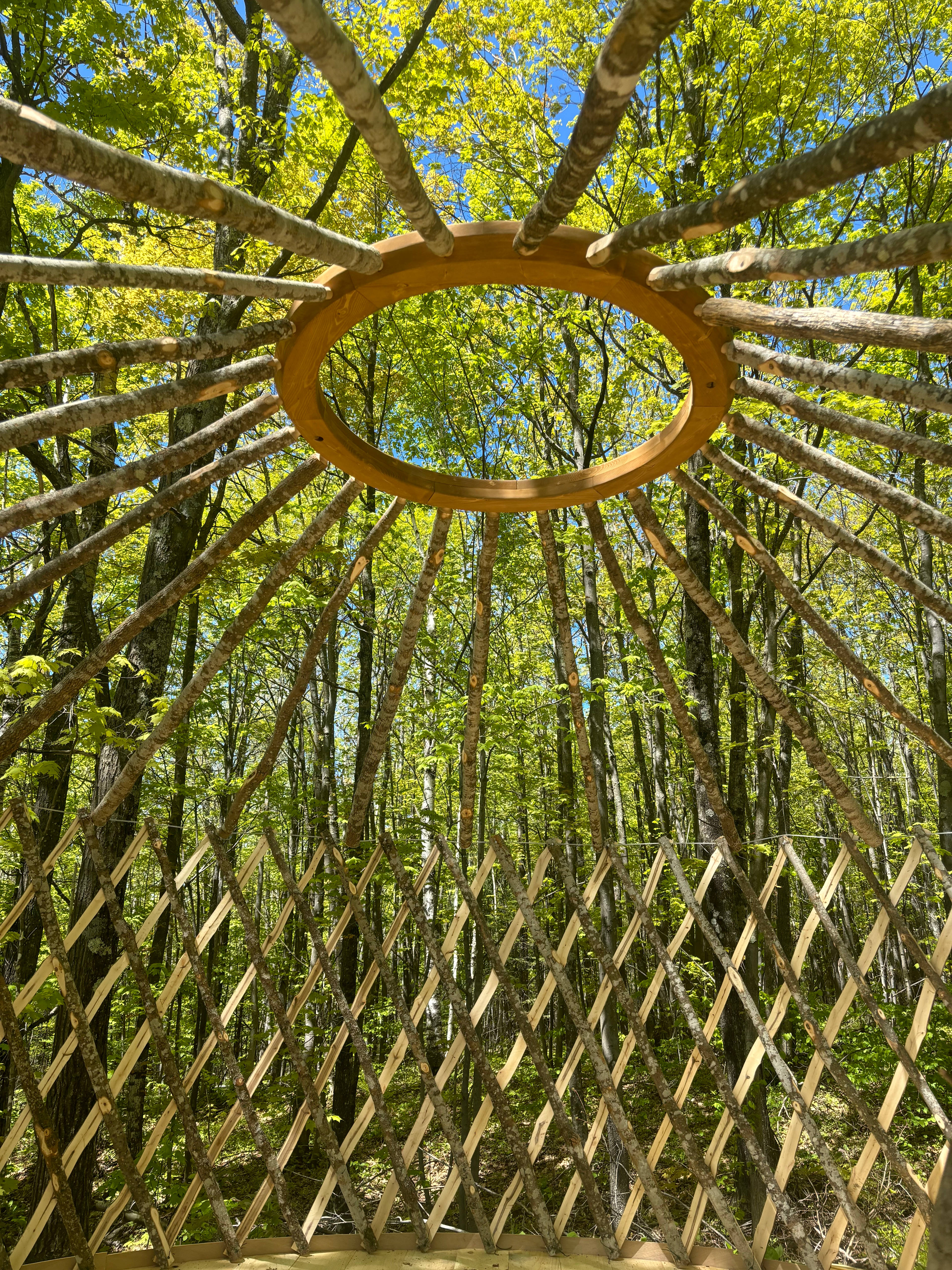 Off-Grid Secluded Forest Yurts
