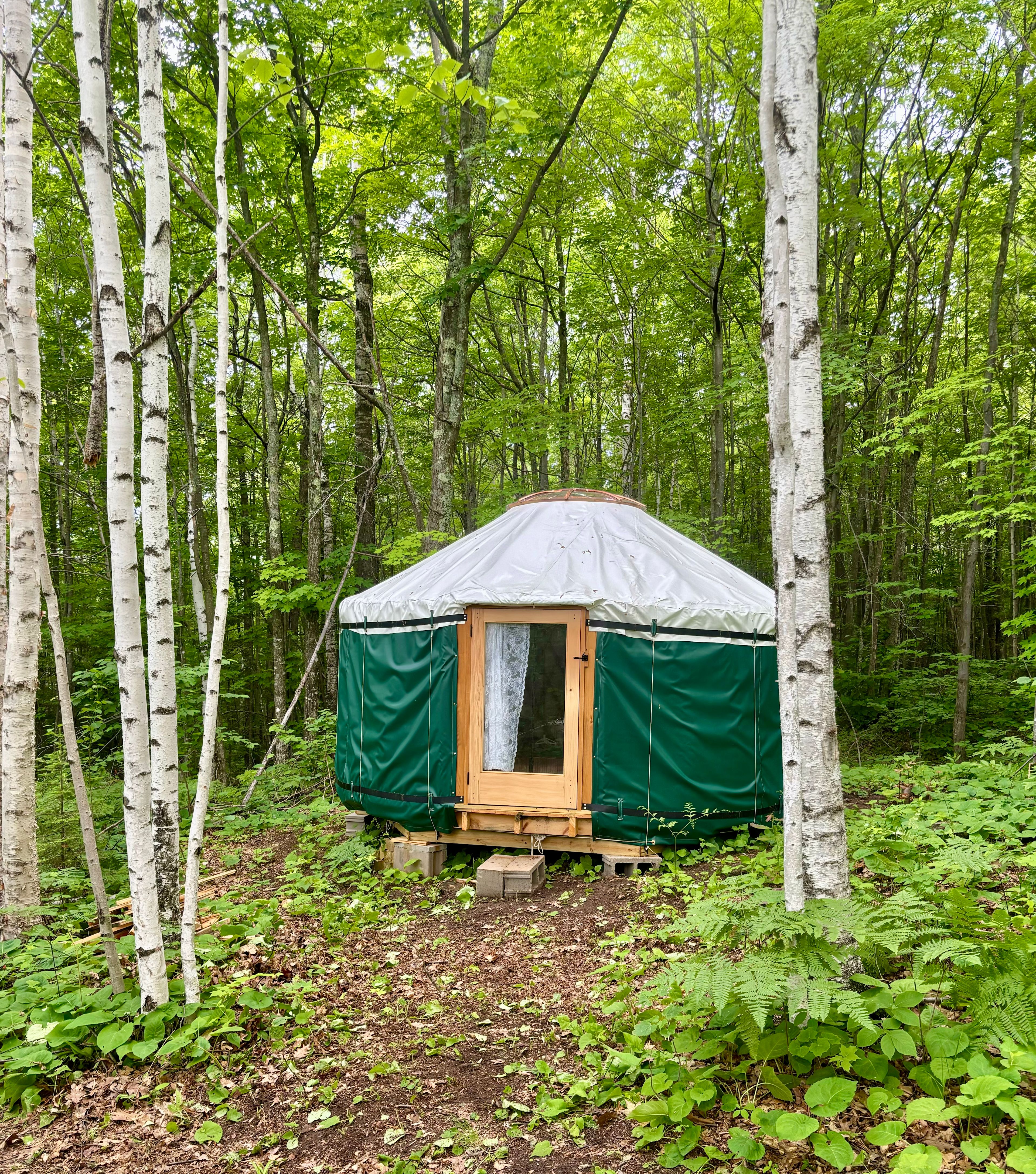 Off-Grid Secluded Forest Yurts
