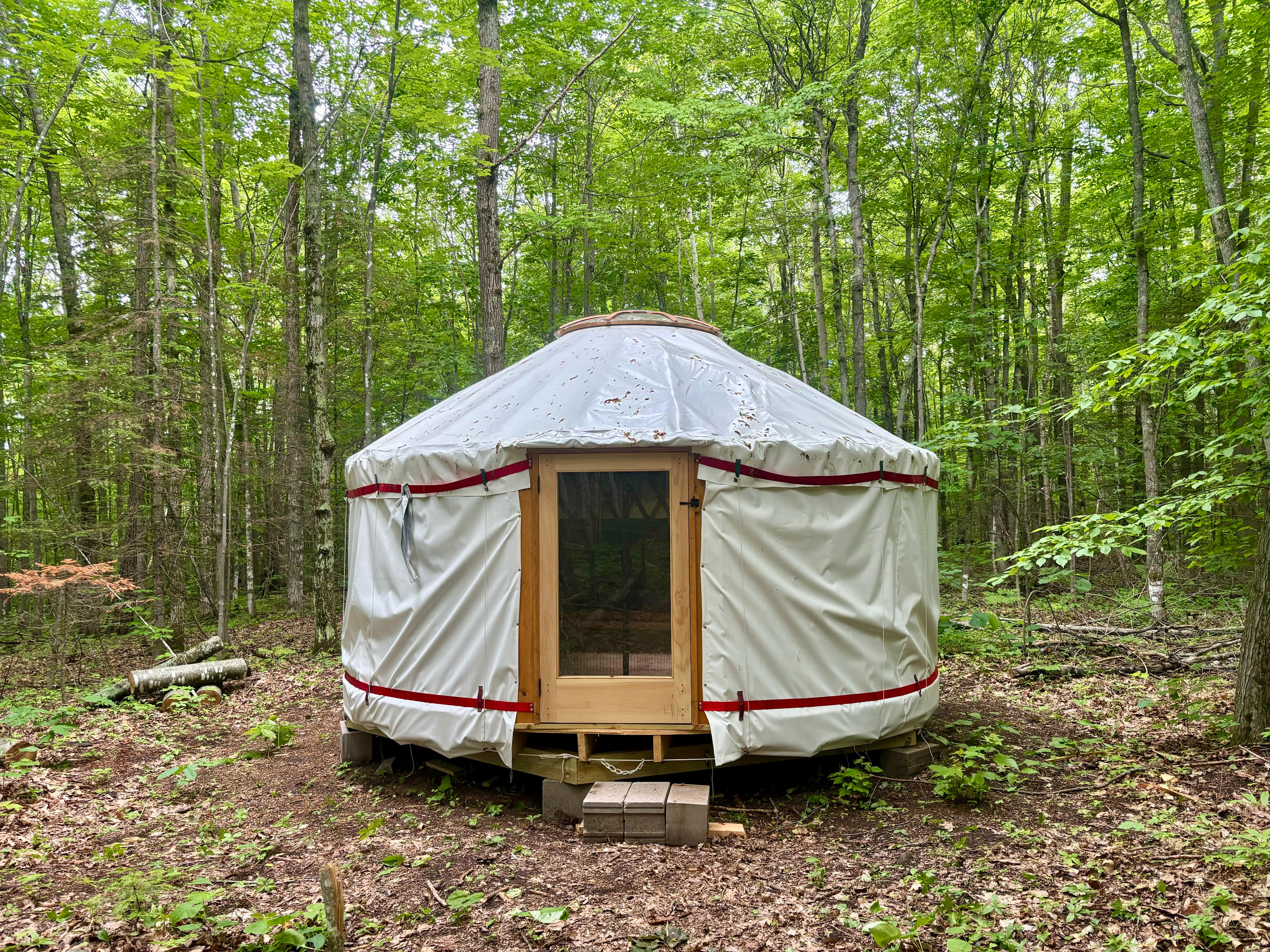 Off-Grid Secluded Forest Yurts