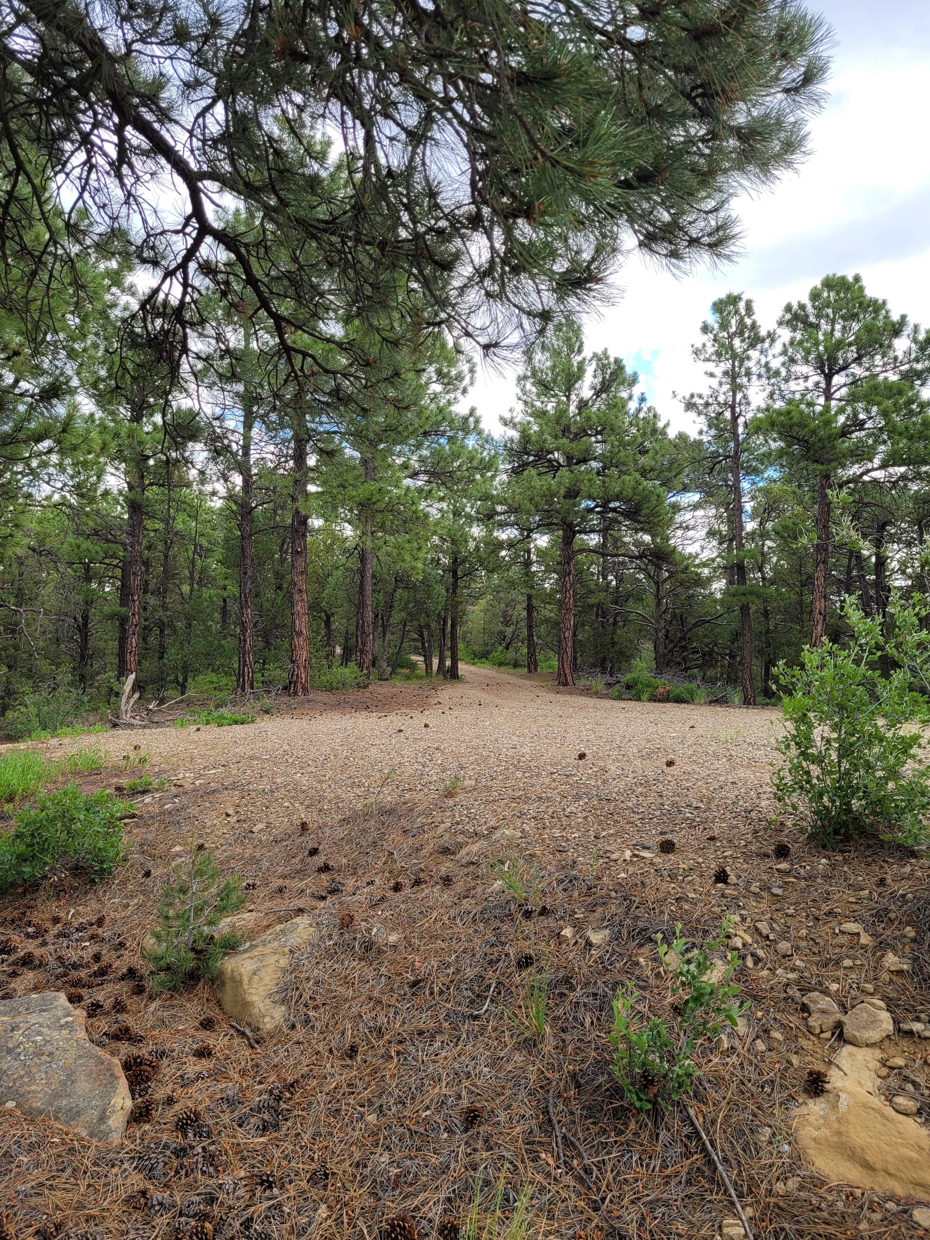 Ninzan-ji, Patient Mountain Temple