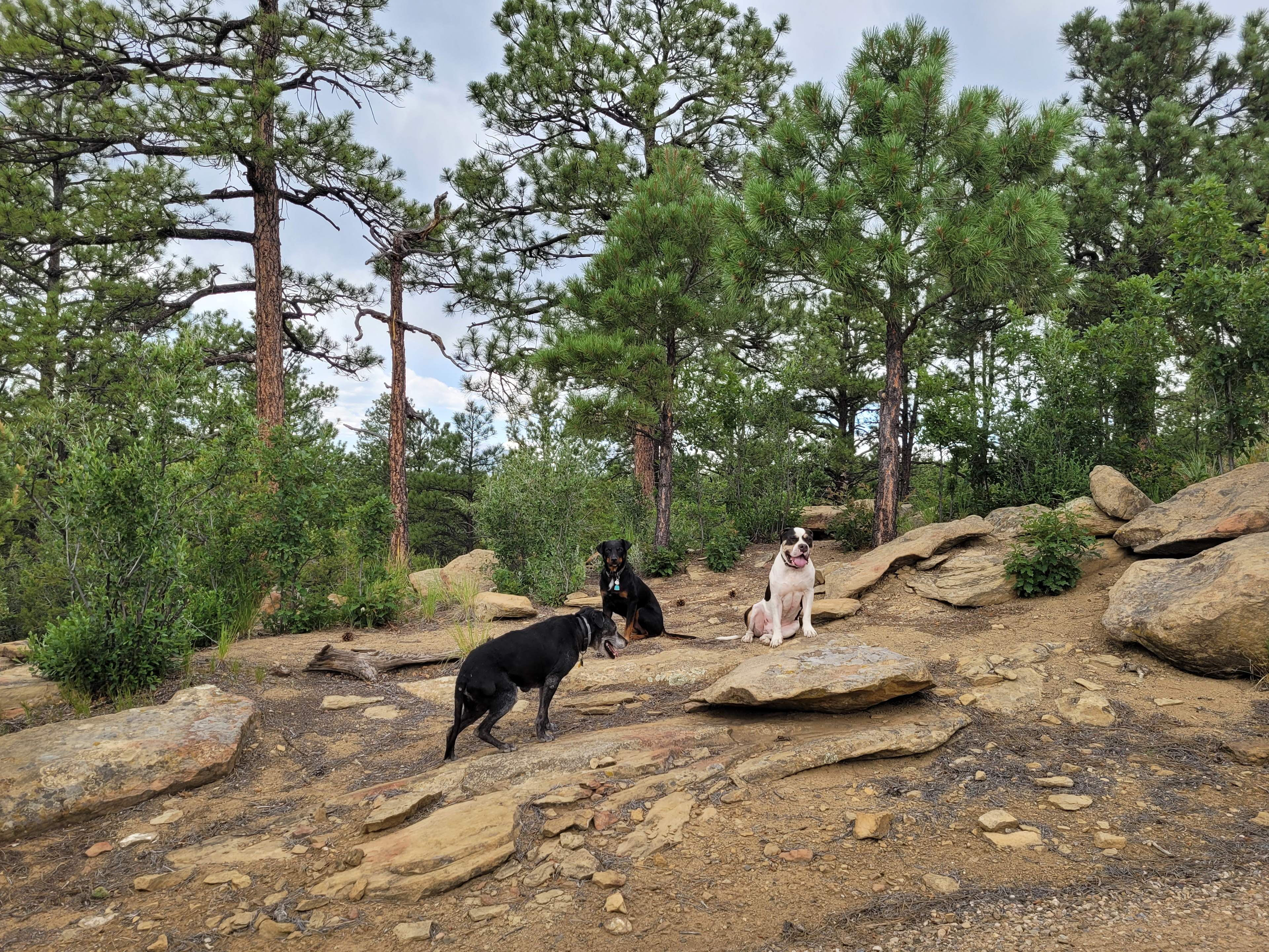 Ninzan-ji, Patient Mountain Temple