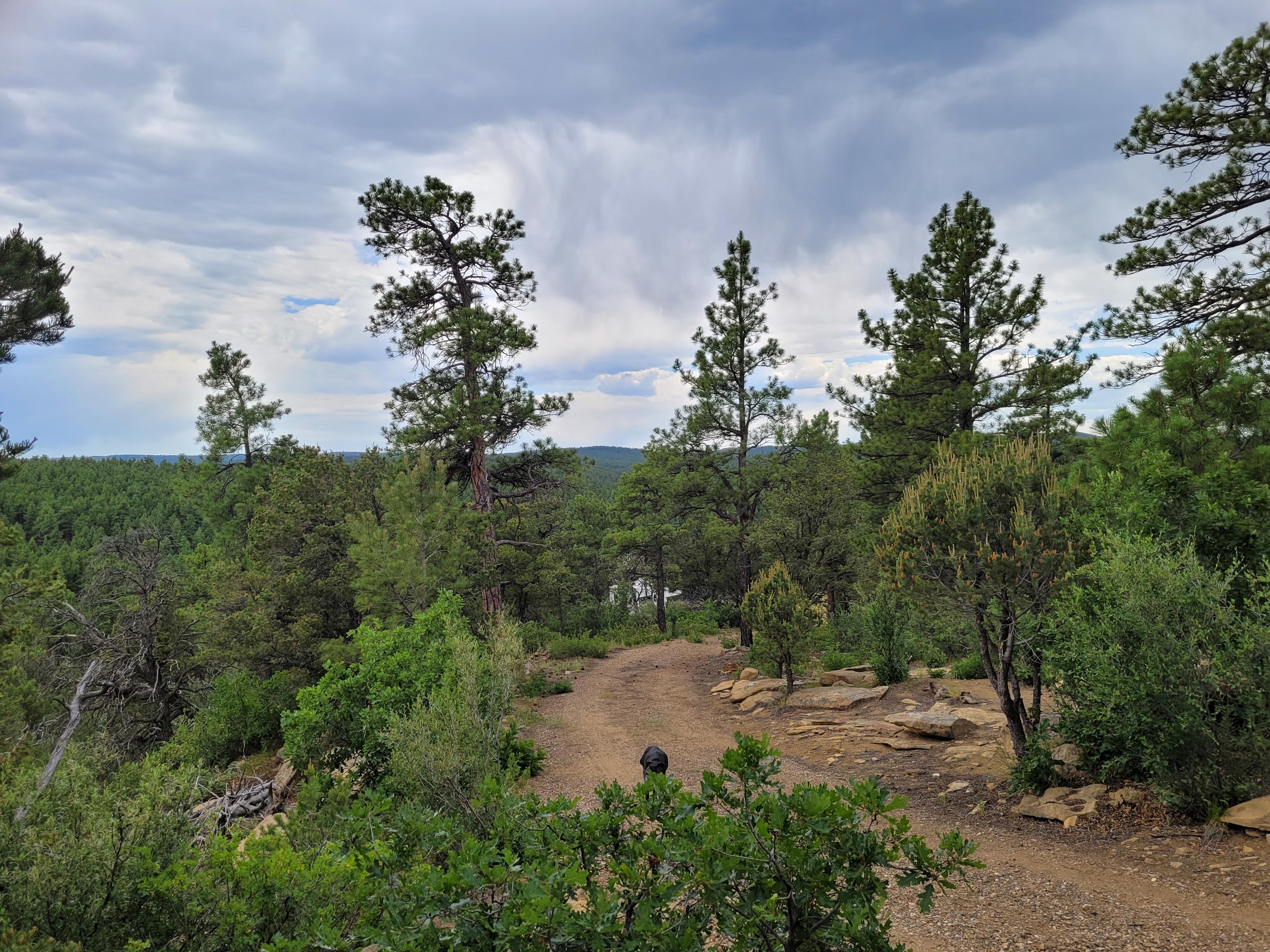 Ninzan-ji, Patient Mountain Temple