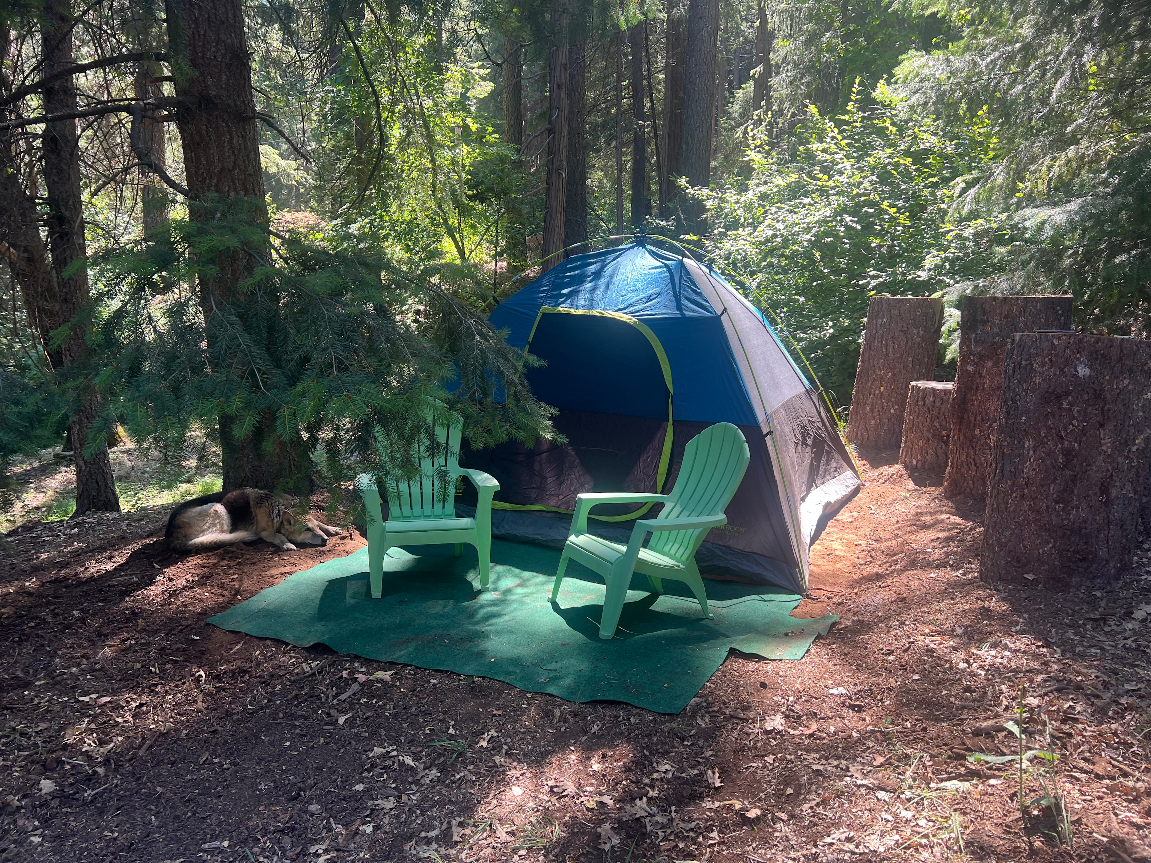 Birdsong Retreat/Tahoe Nat Forest