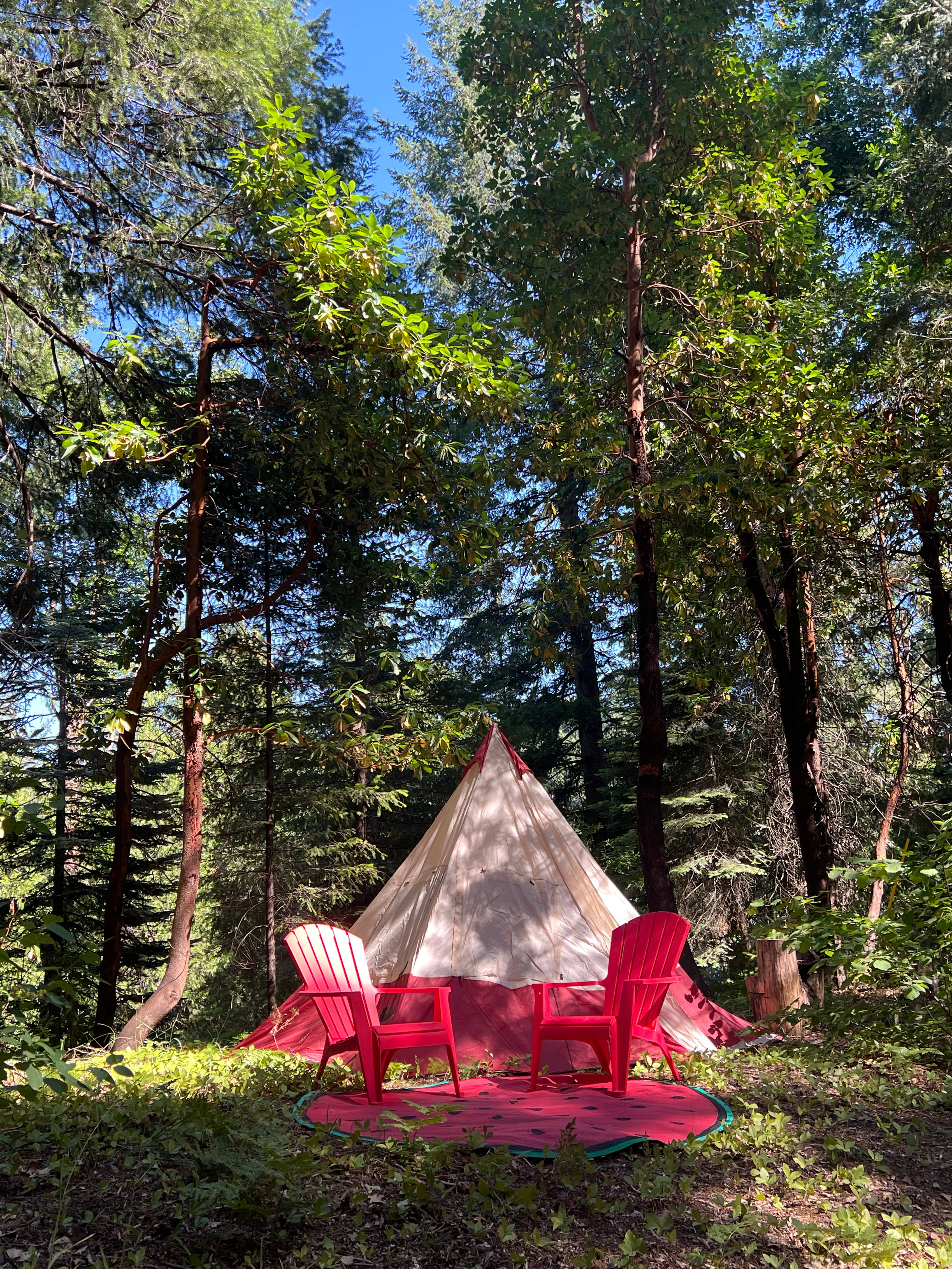 Birdsong Retreat/Tahoe Nat Forest