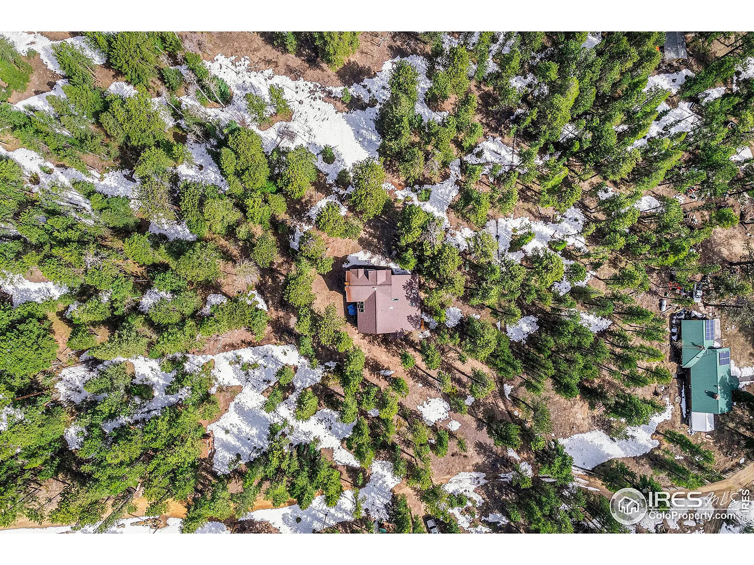 Sasquatch Watch Basecamp