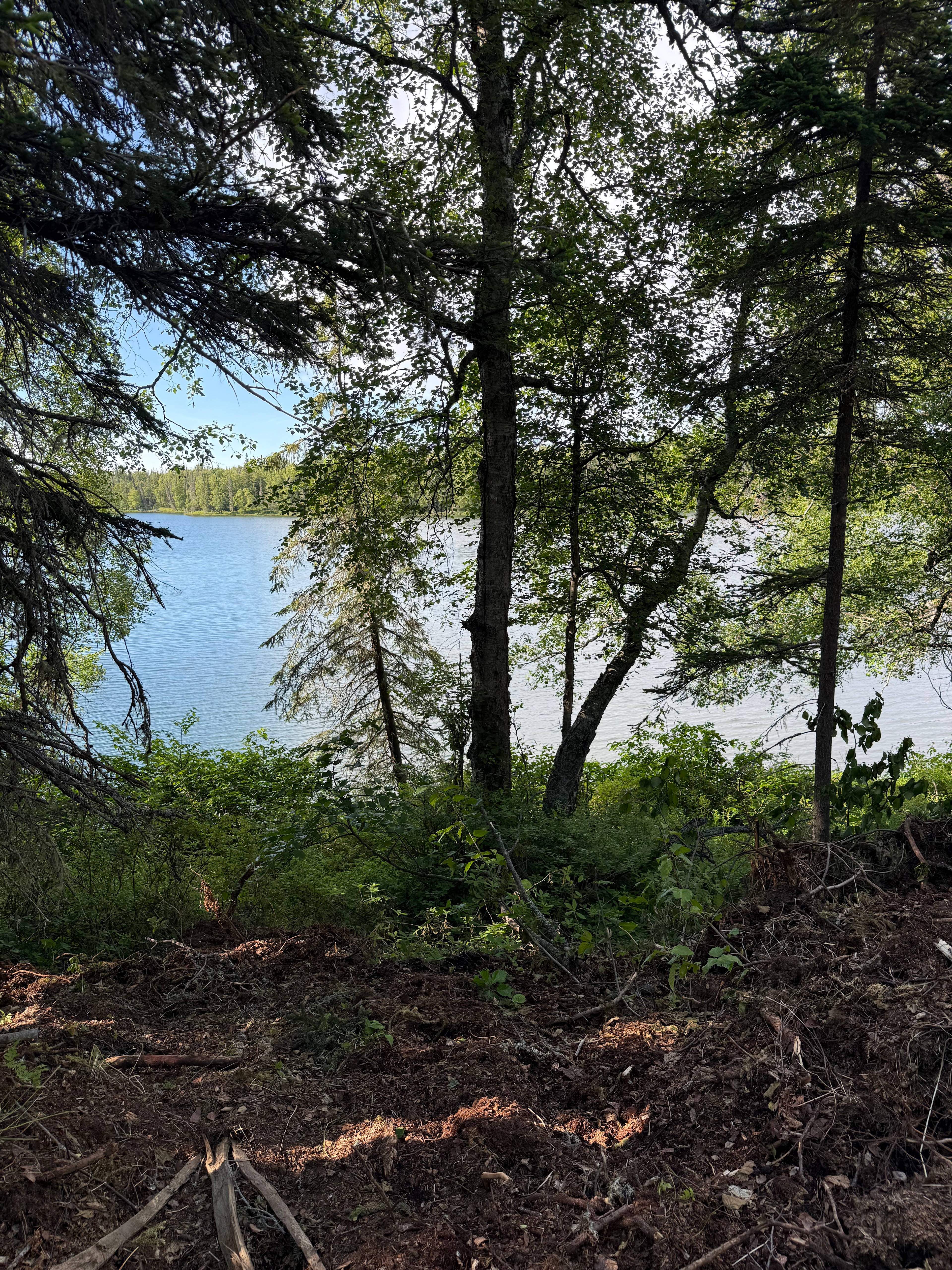 Evenson Heritage Lodge in Kenai