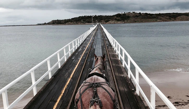 NRMA Victor Harbor Beachfront Holiday Park