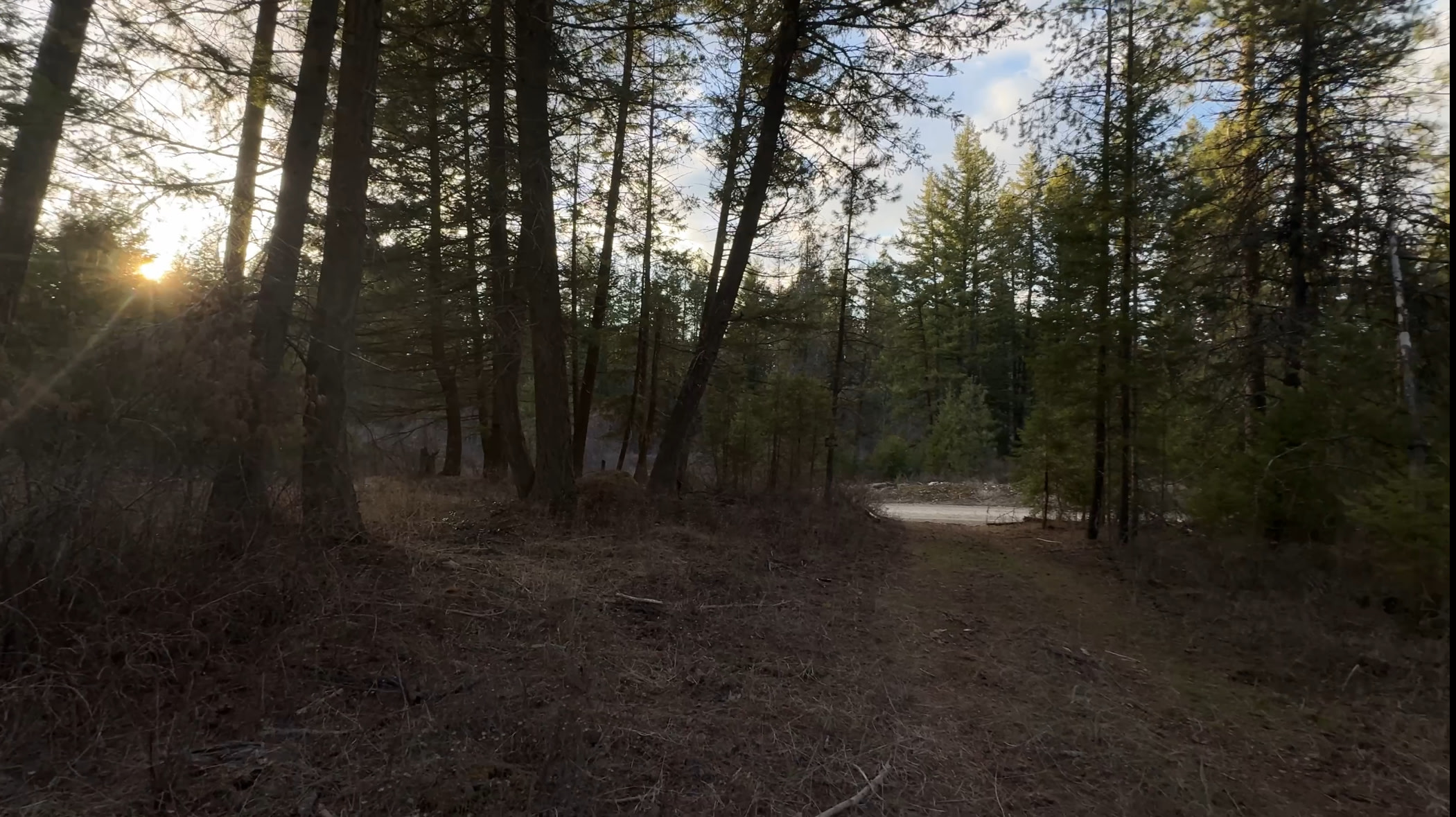 Just inside the campsite, looking back towards the entrance. 