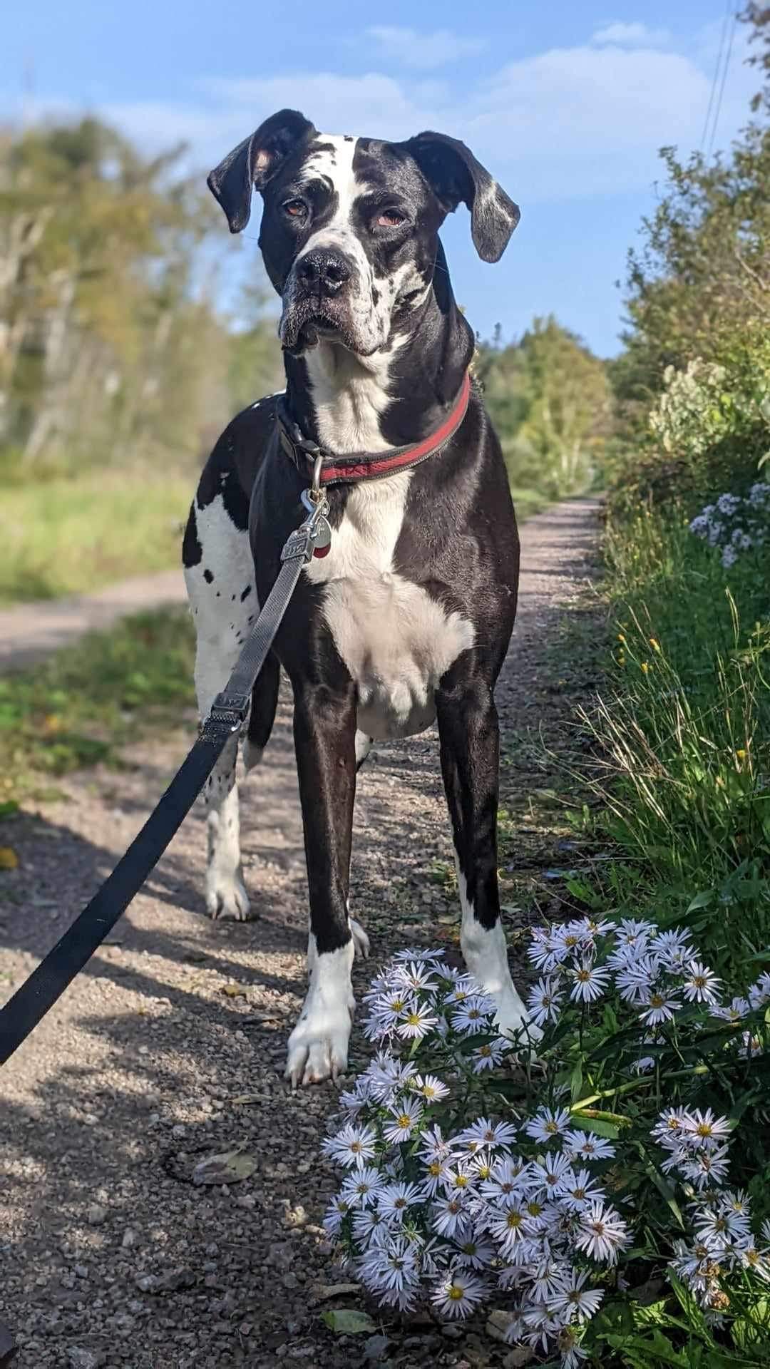 Escape Spear Farmily Retreat