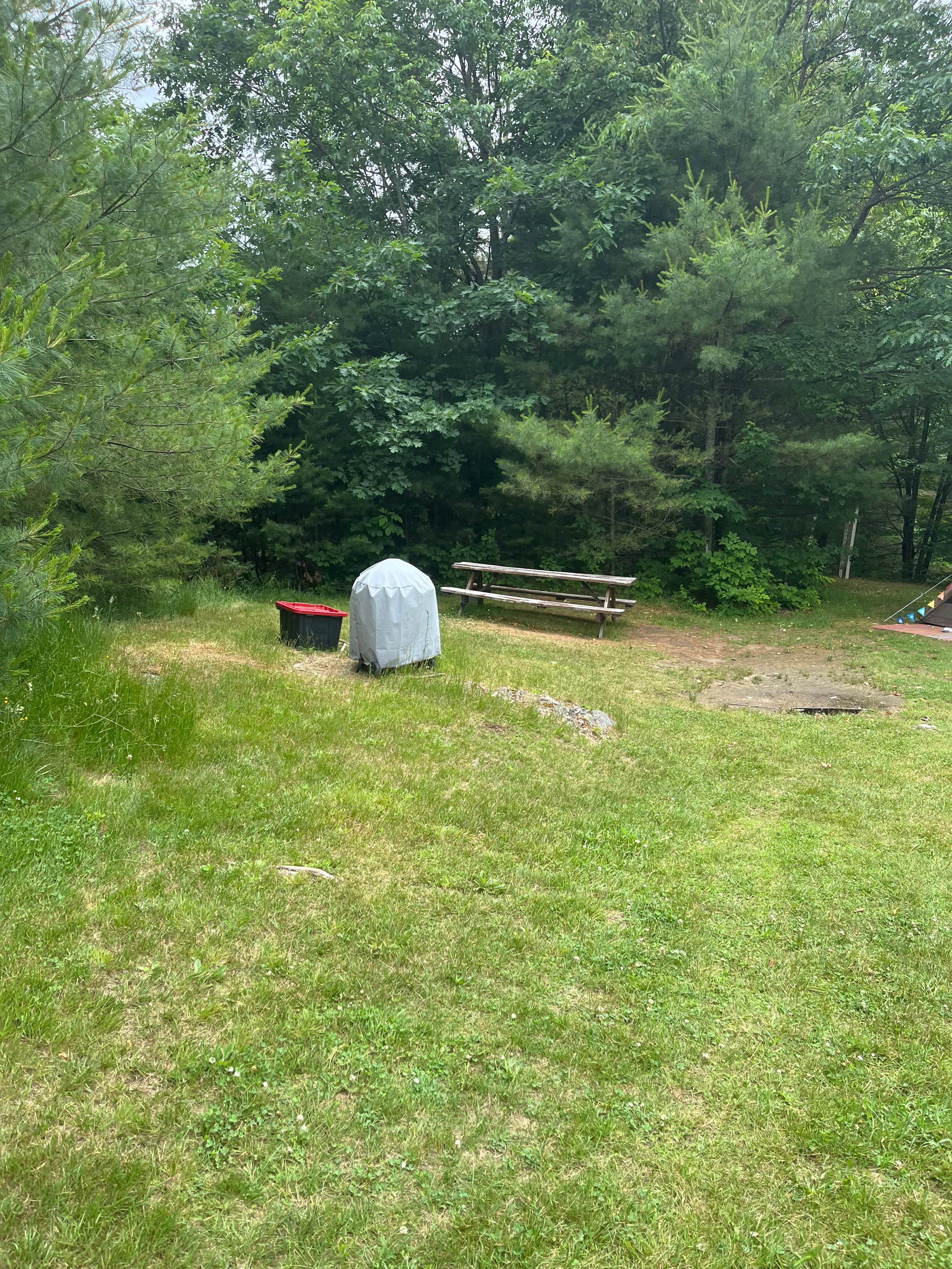 Cloud 9 campsite Fairlee VT