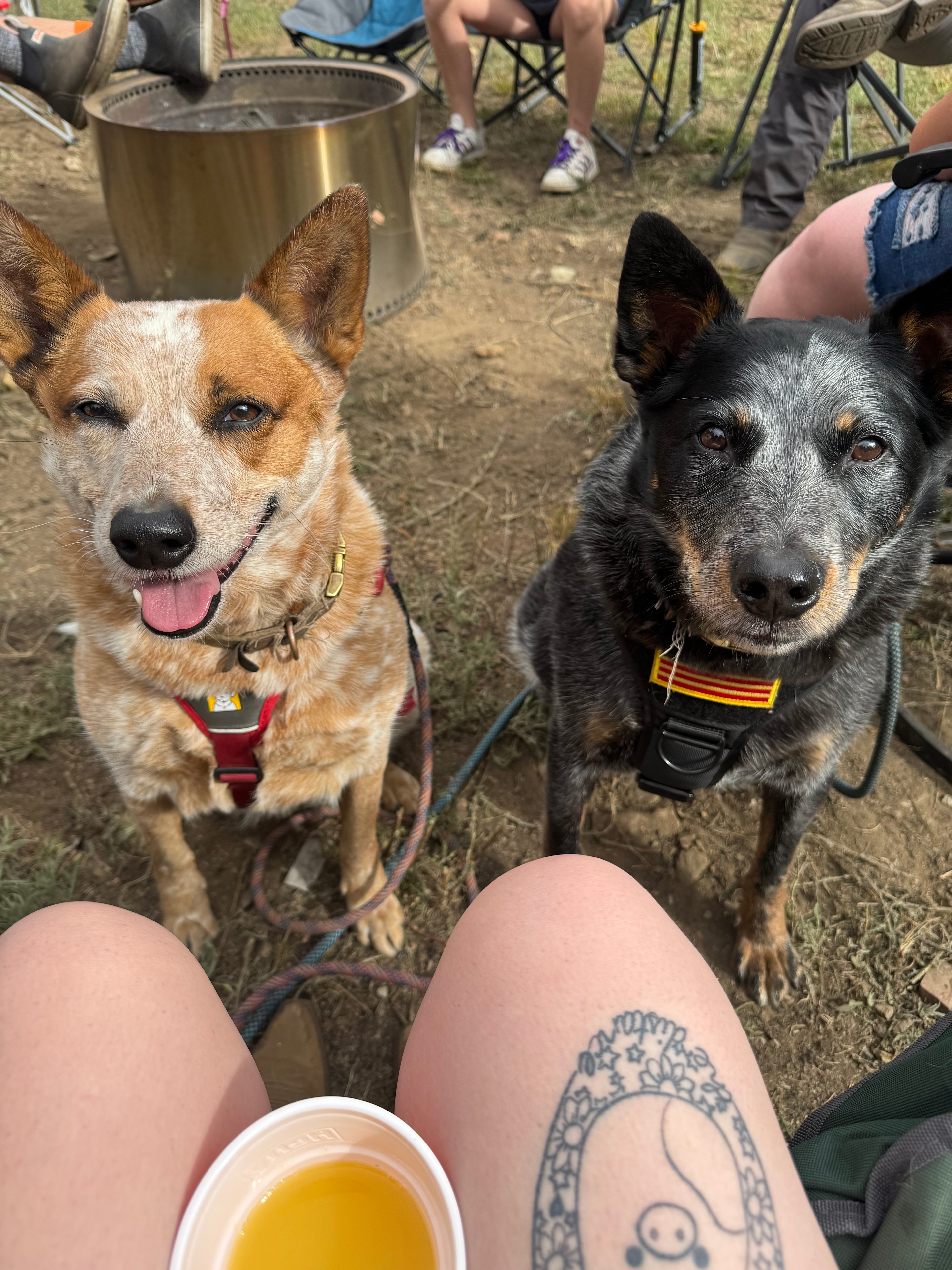 Pine Peak - Dirt bike - ATV - RV