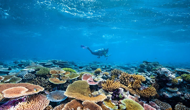 NRMA Airlie Beach Holiday Park