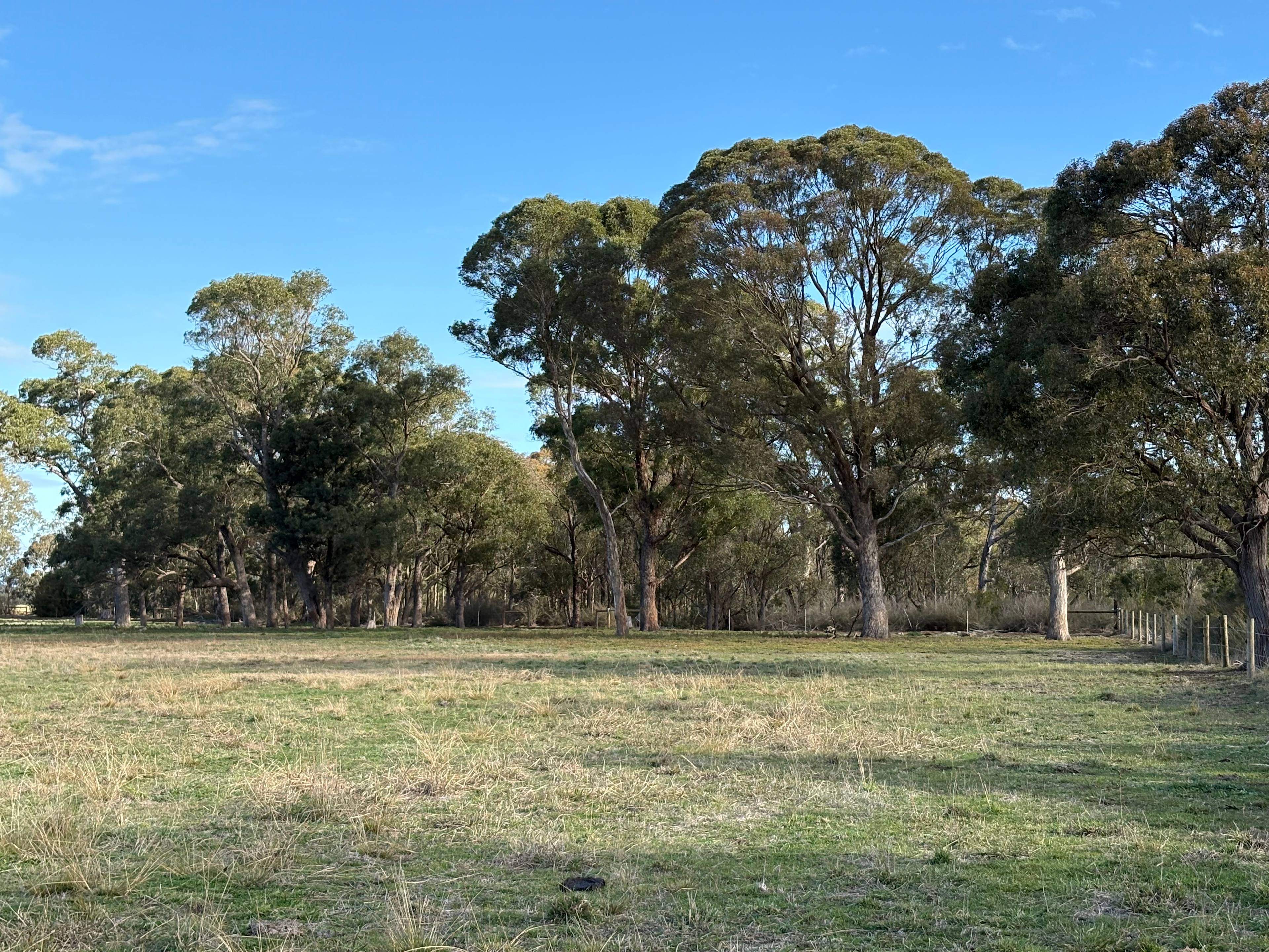Happy Valley Farmstead
