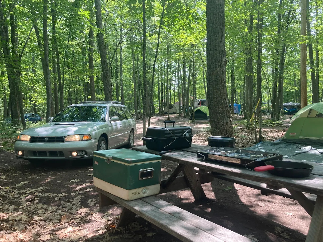 Forestville Campground - Conservation Area