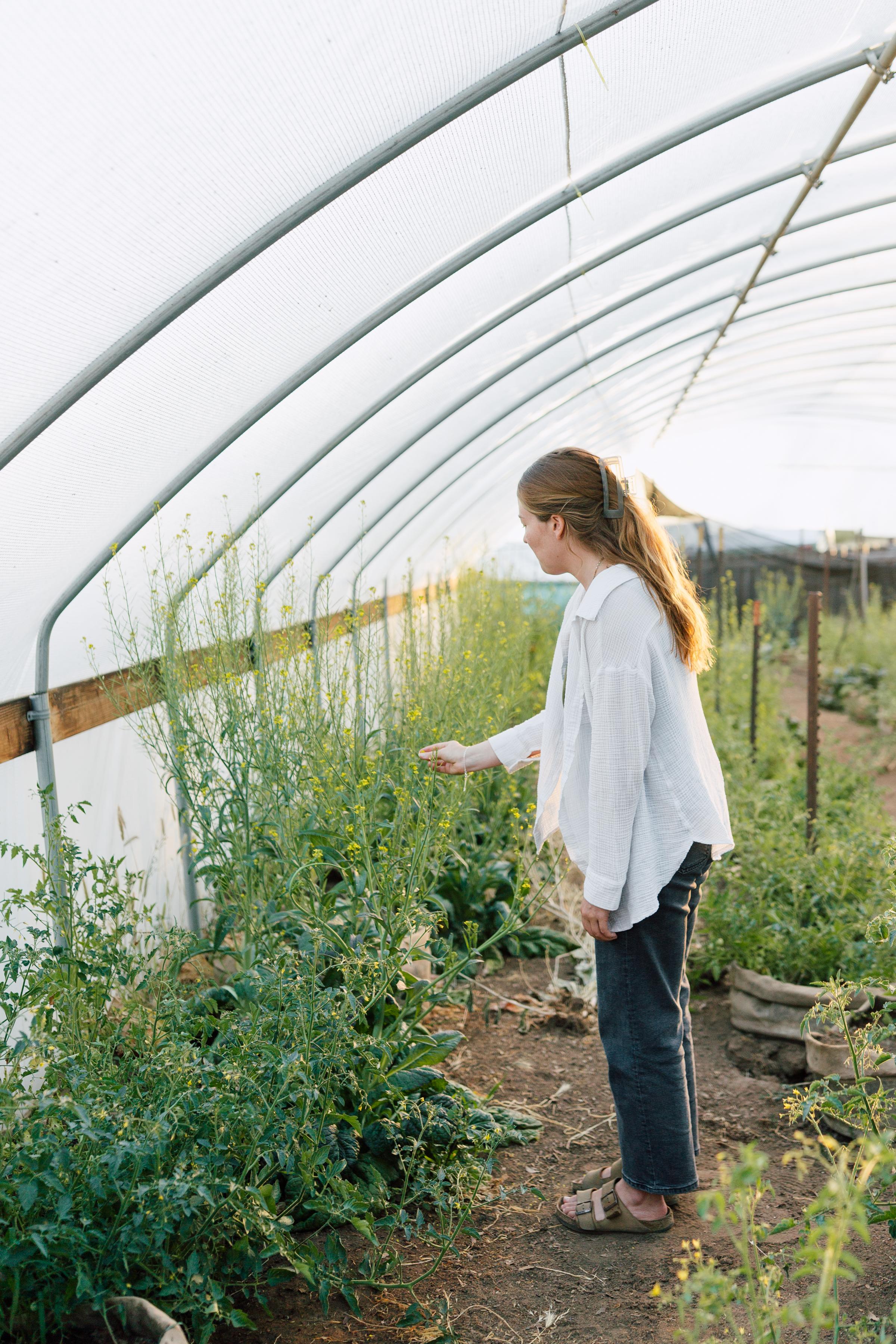 GoodVibes Ranch Disc Golf & Camping
