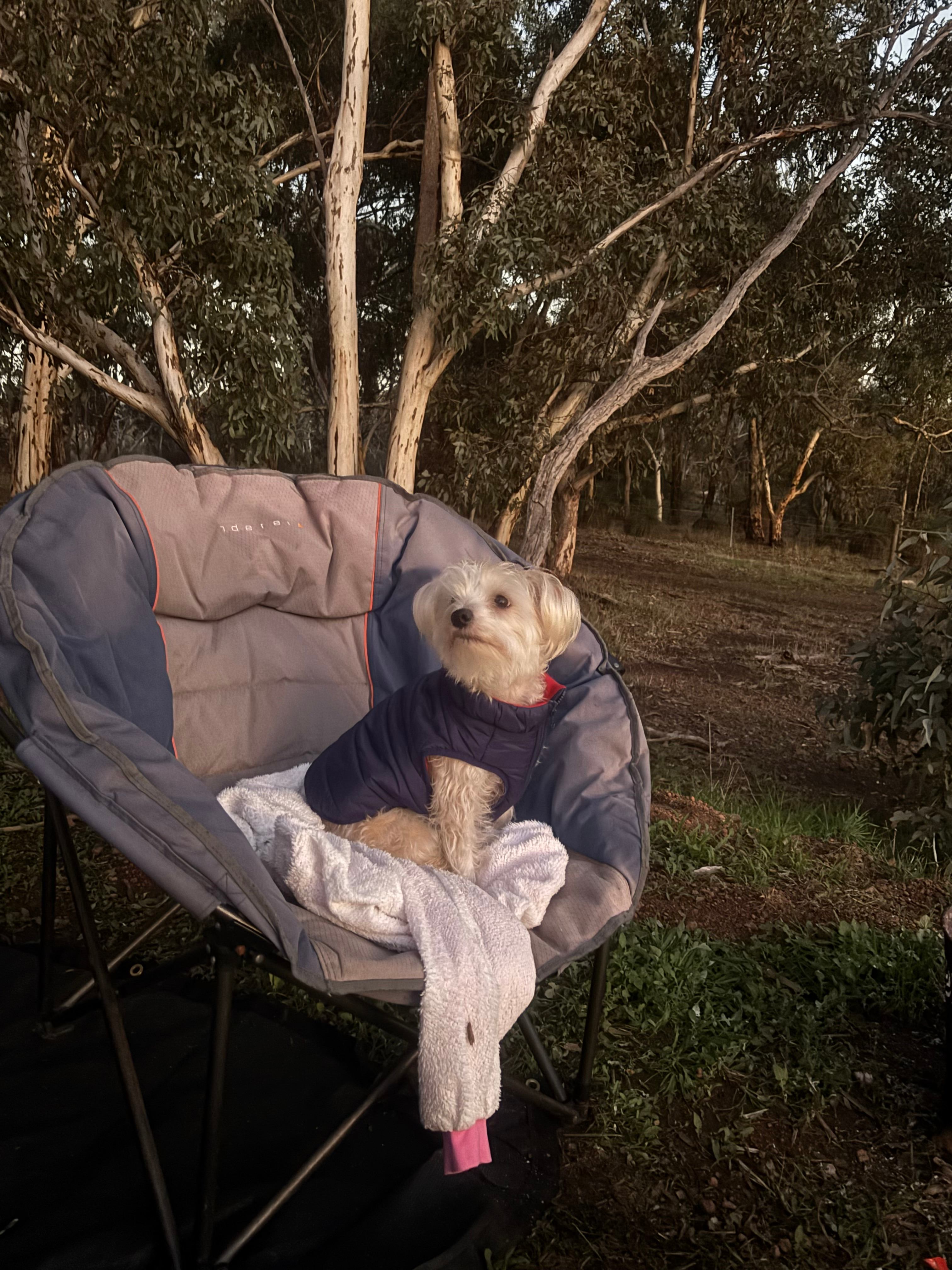 Yarrabah High Country- Jarrahdale