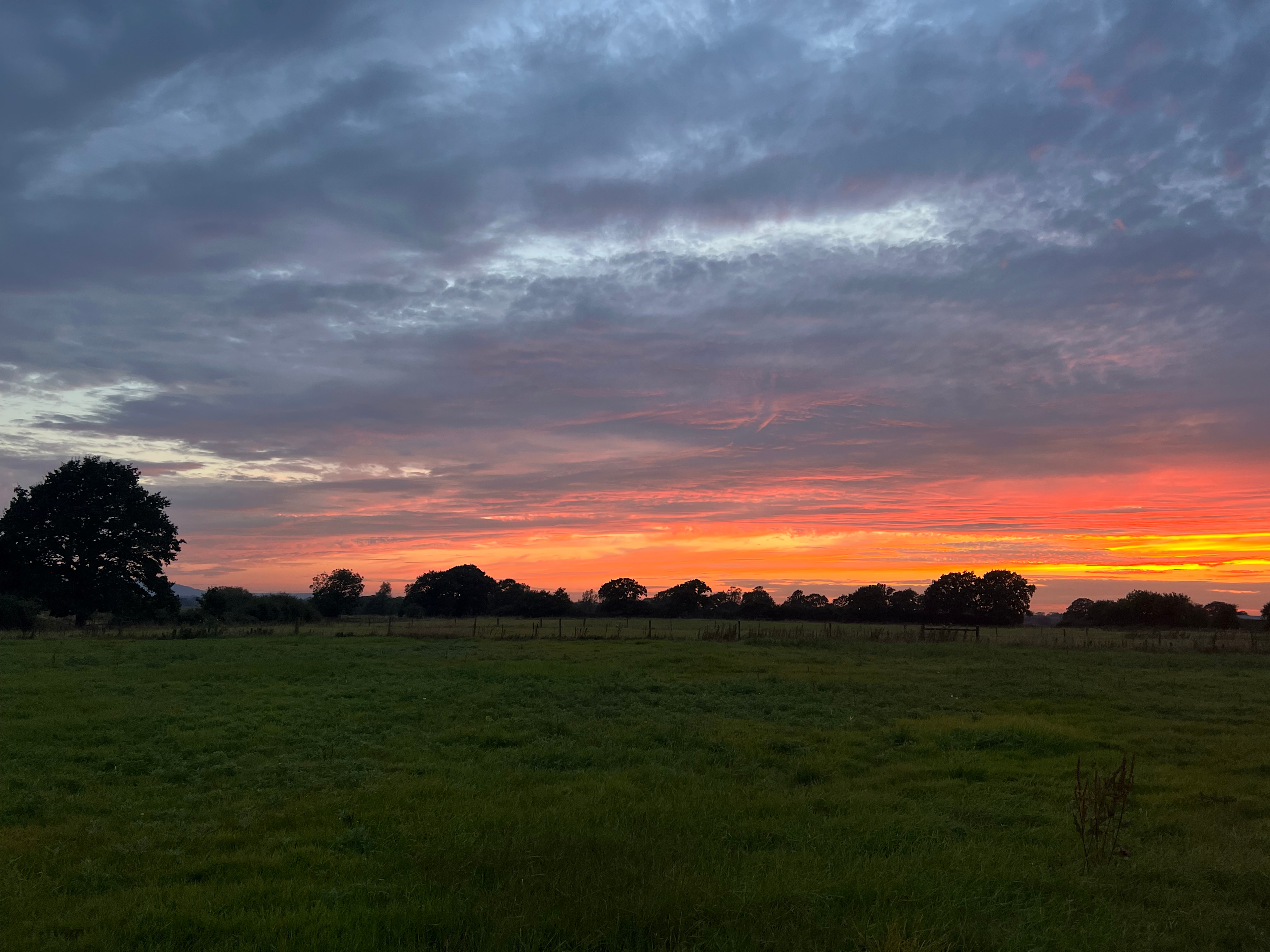 Wychwood Farm