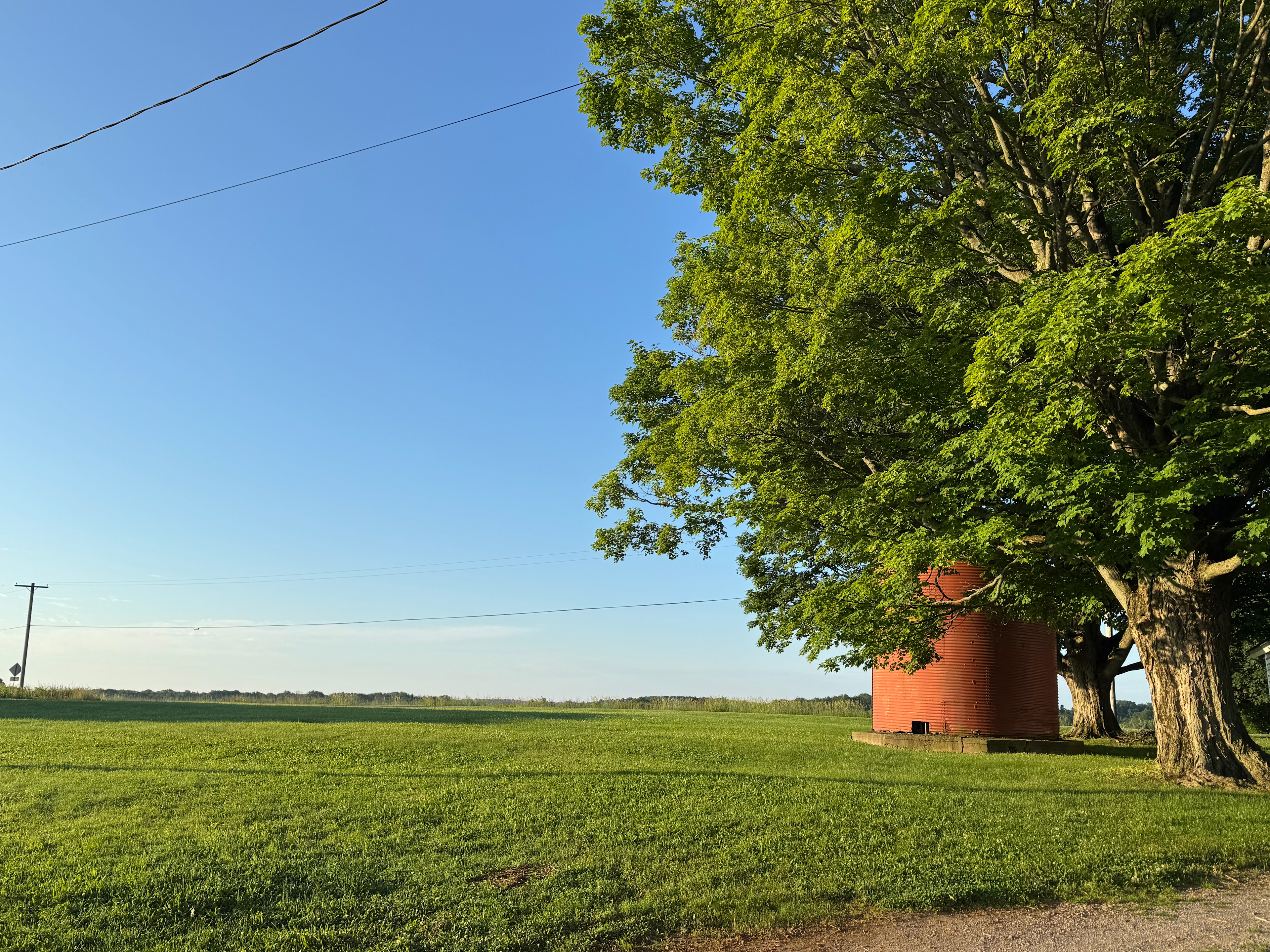 Morning time at the Silo