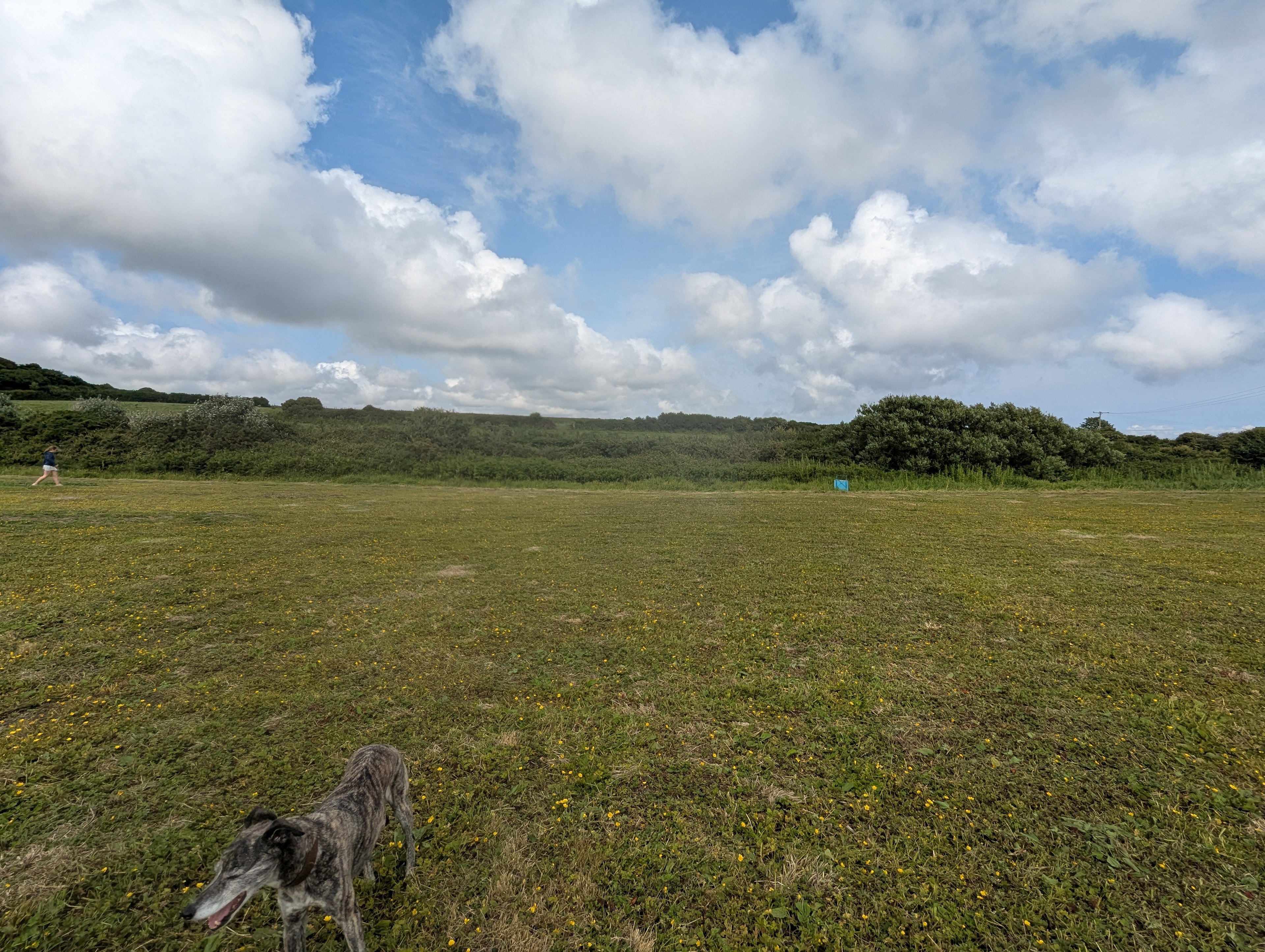 Kesoberi community farm