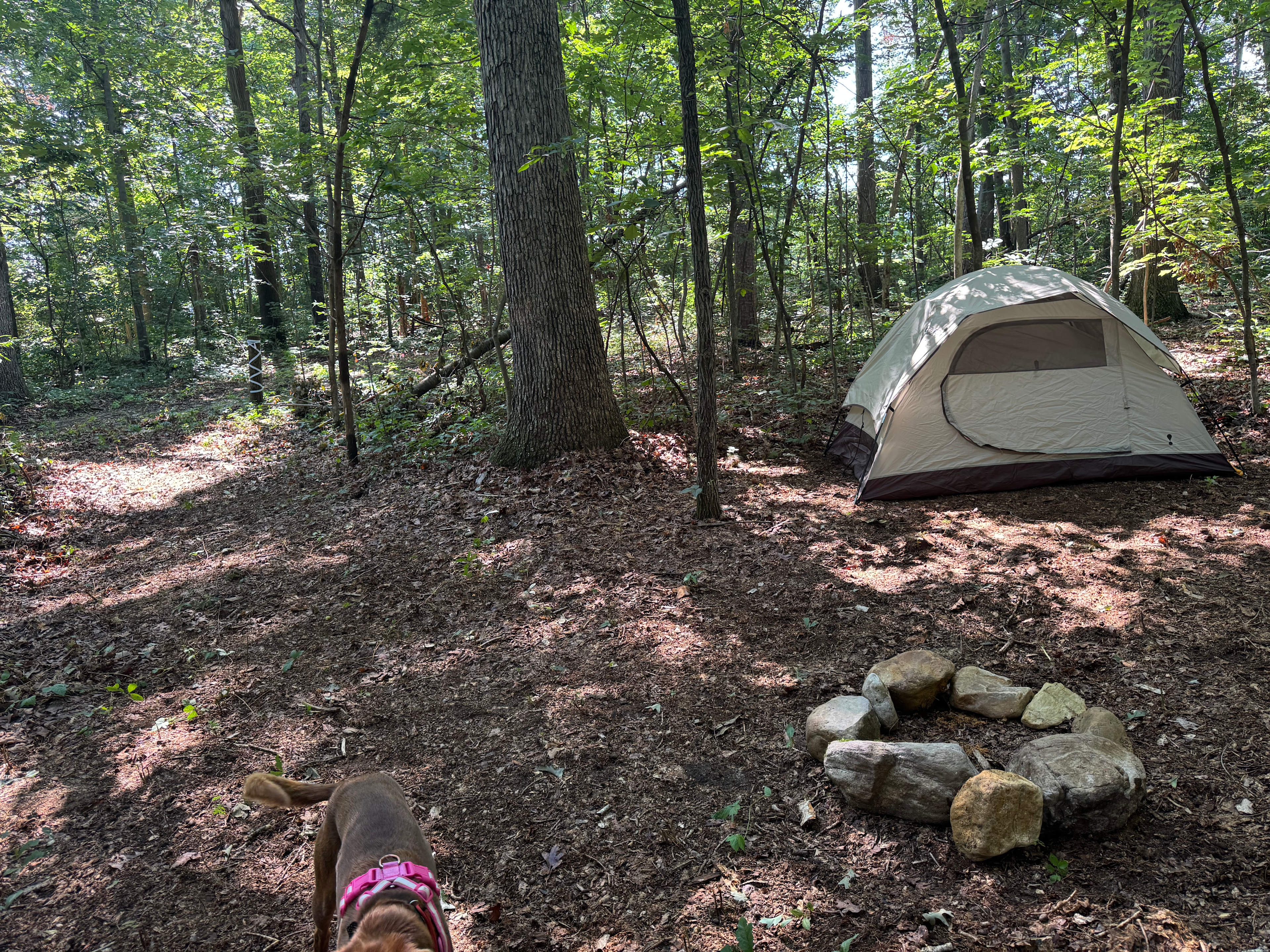 Road Runner Base Camp