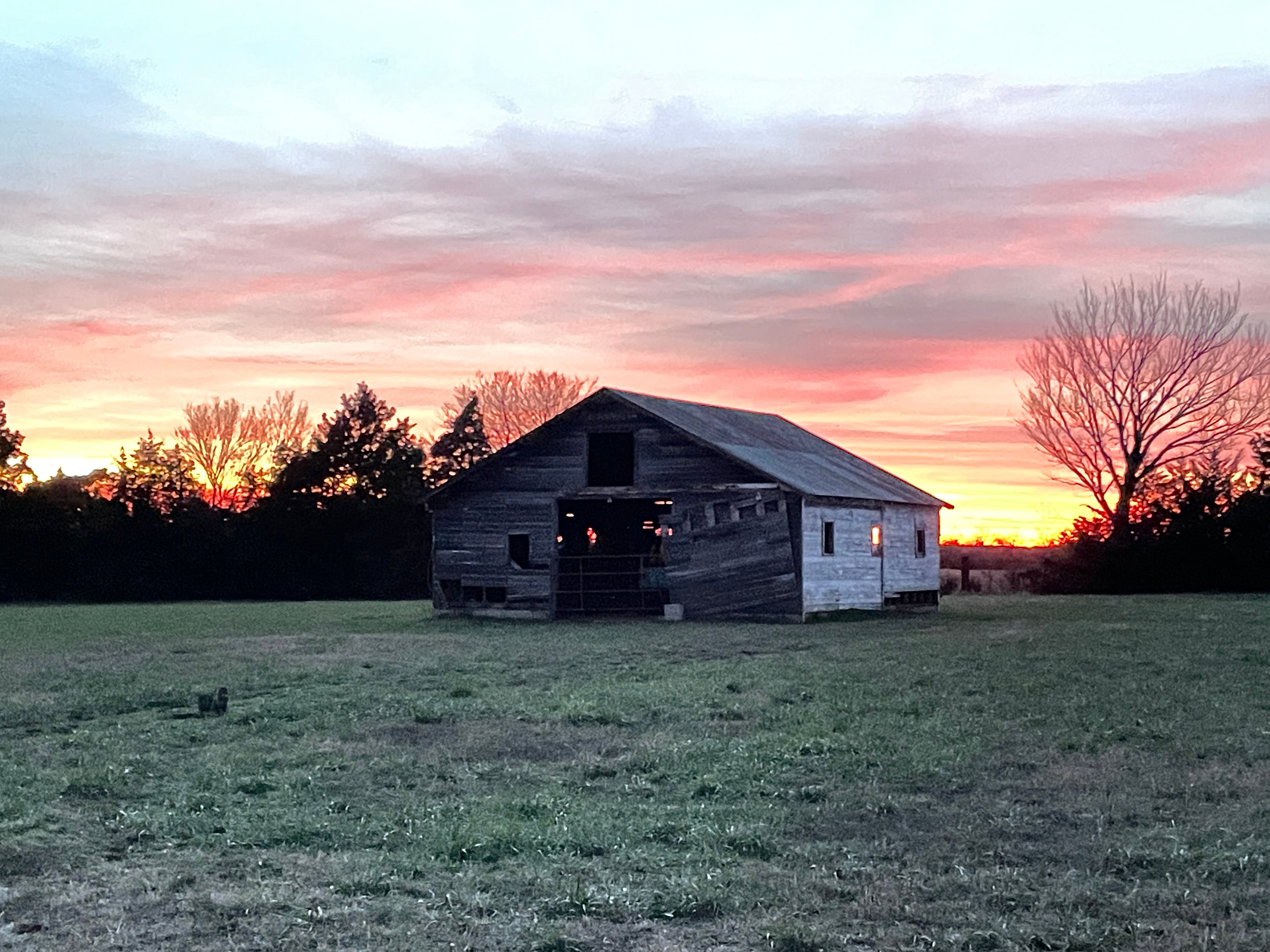 Midwest Mama Farms